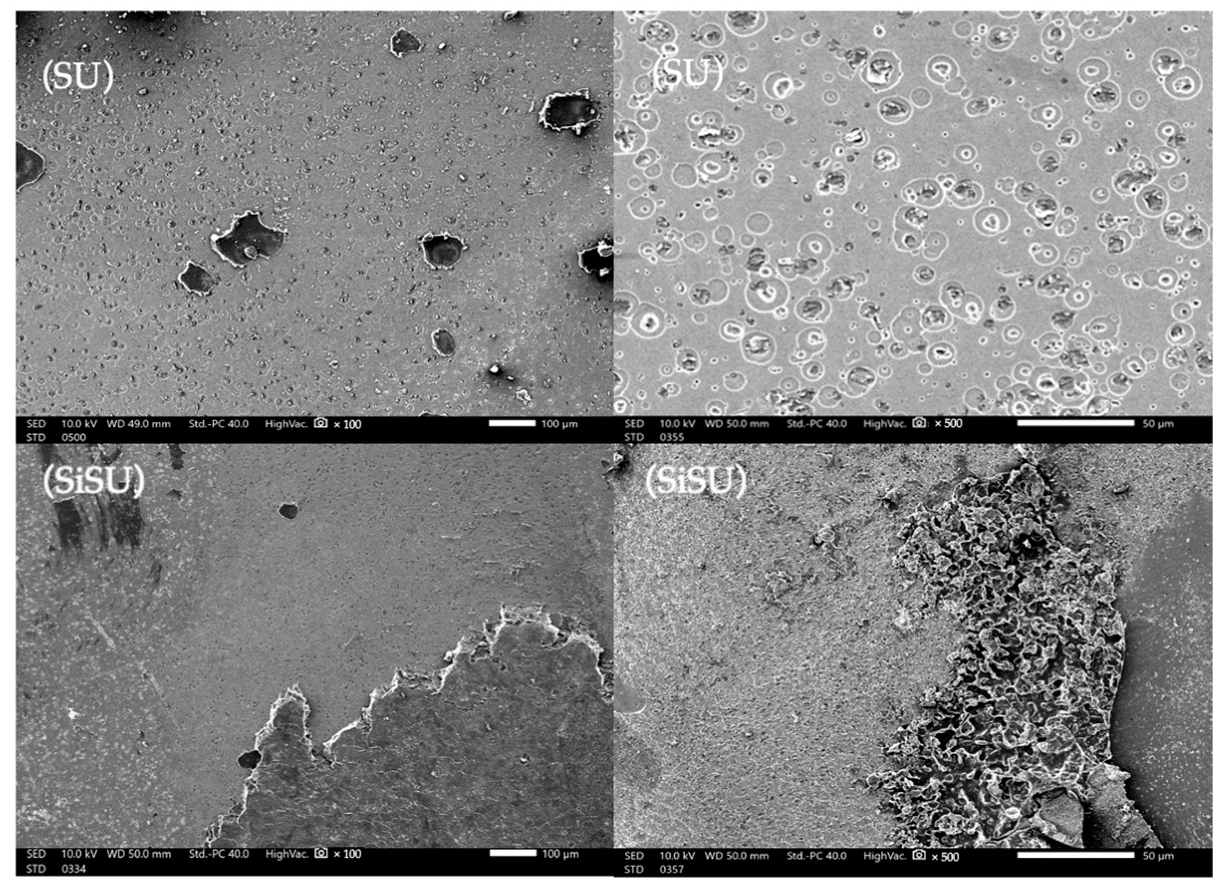Polymers 16 01988 g009 Polymers 16 01988 g009