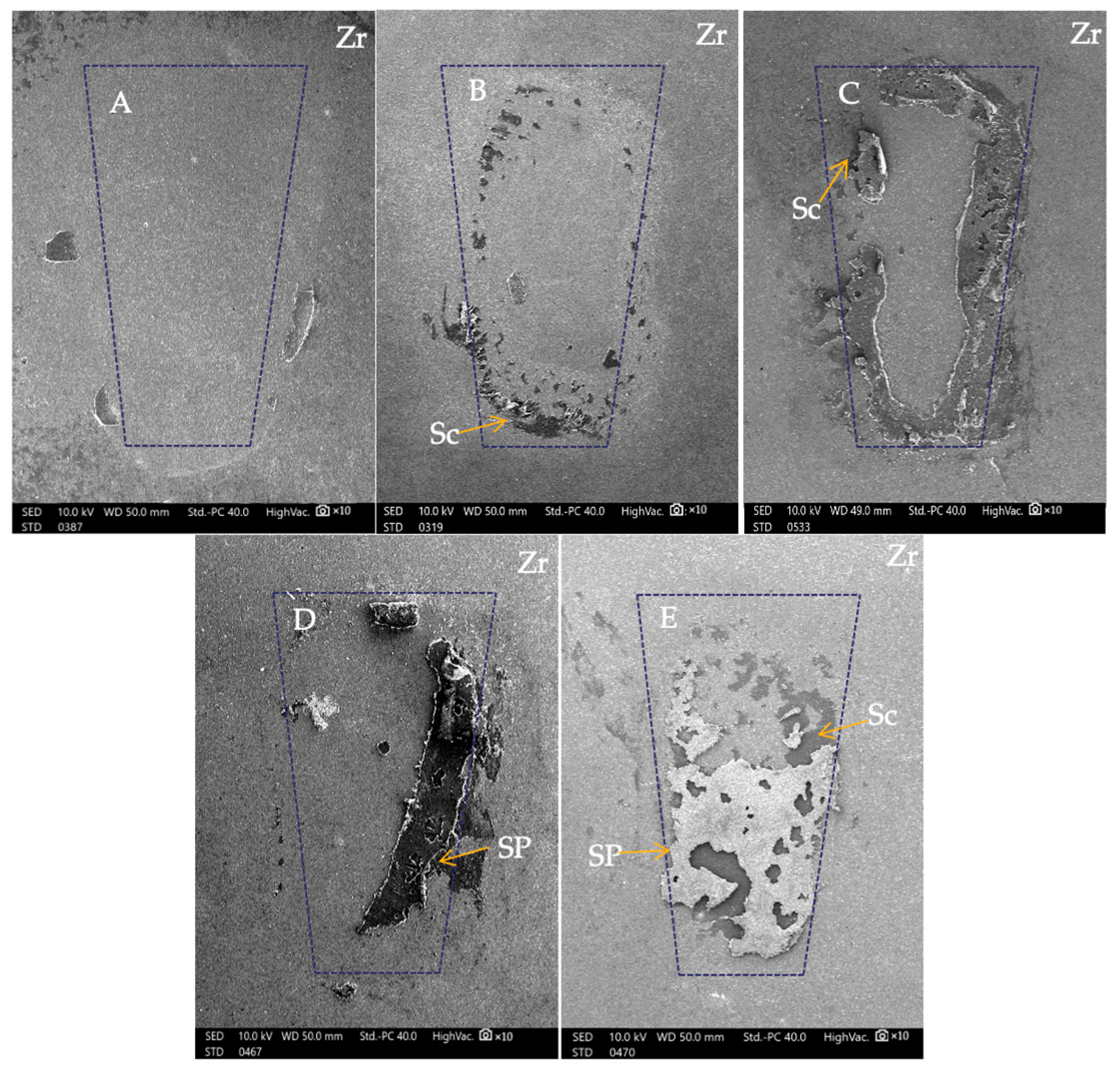 Polymers 16 01988 g010 Polymers 16 01988 g010