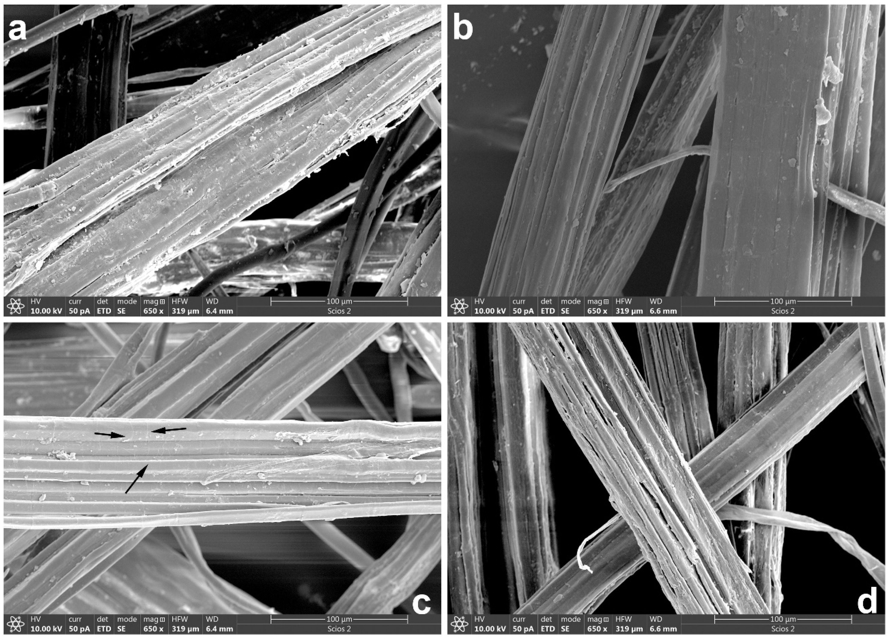 Polymers 16 01989 g003