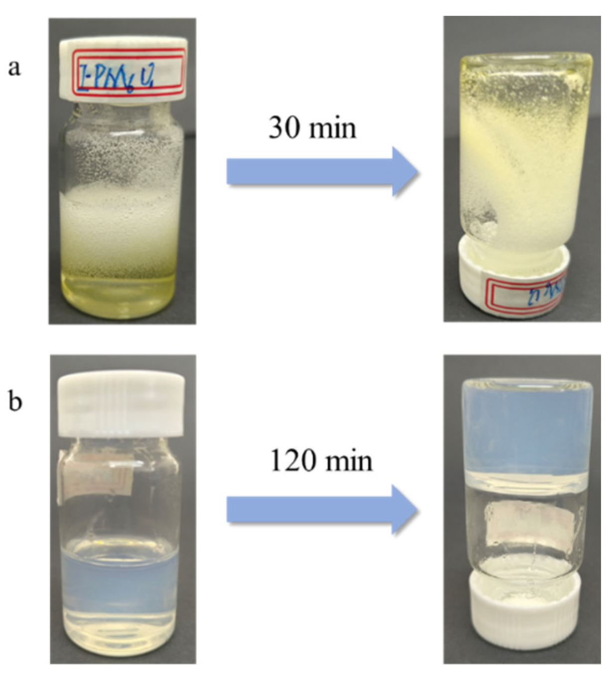 Polymers 16 01990 g002