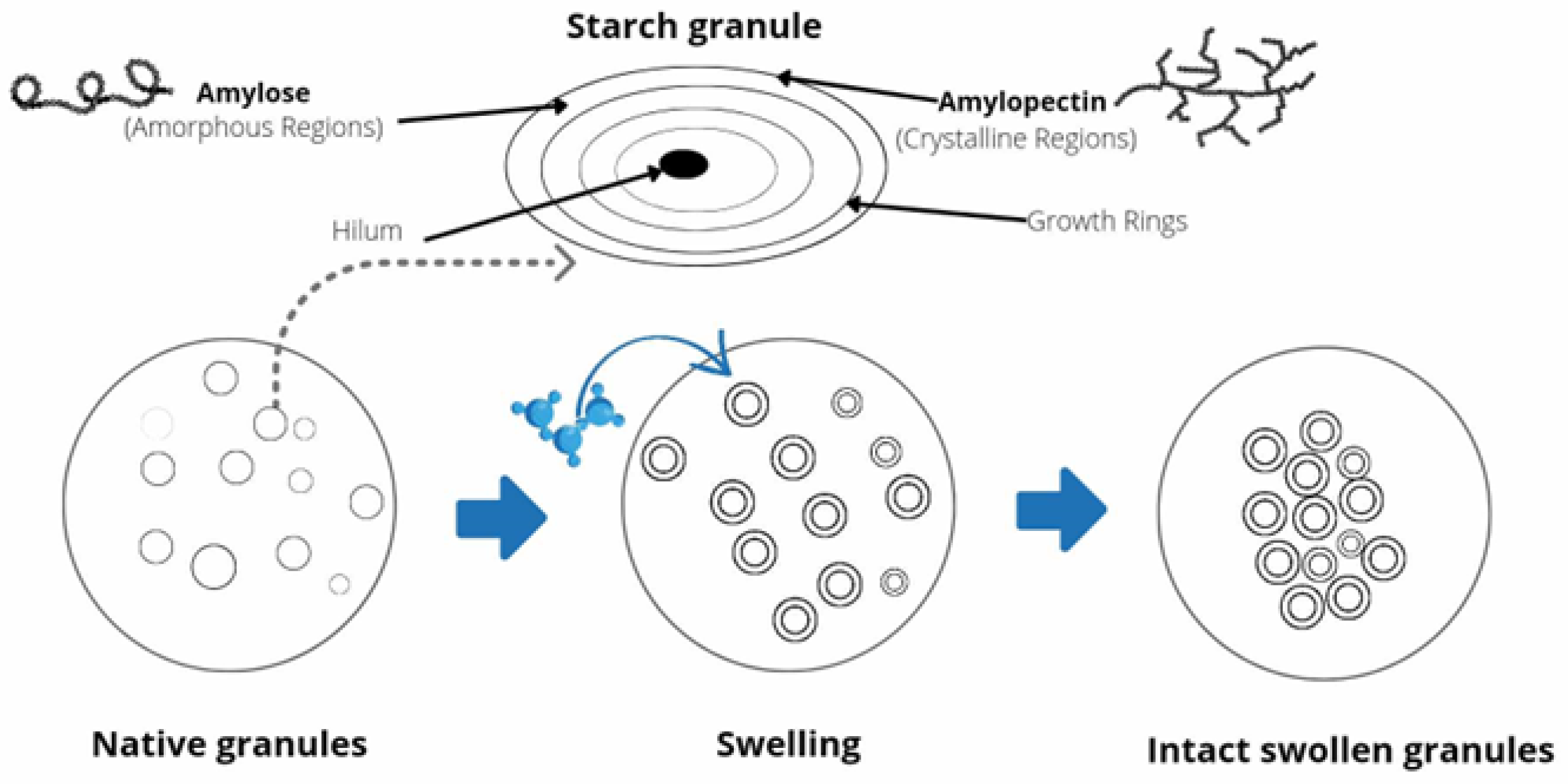 Polymers 16 01991 g004