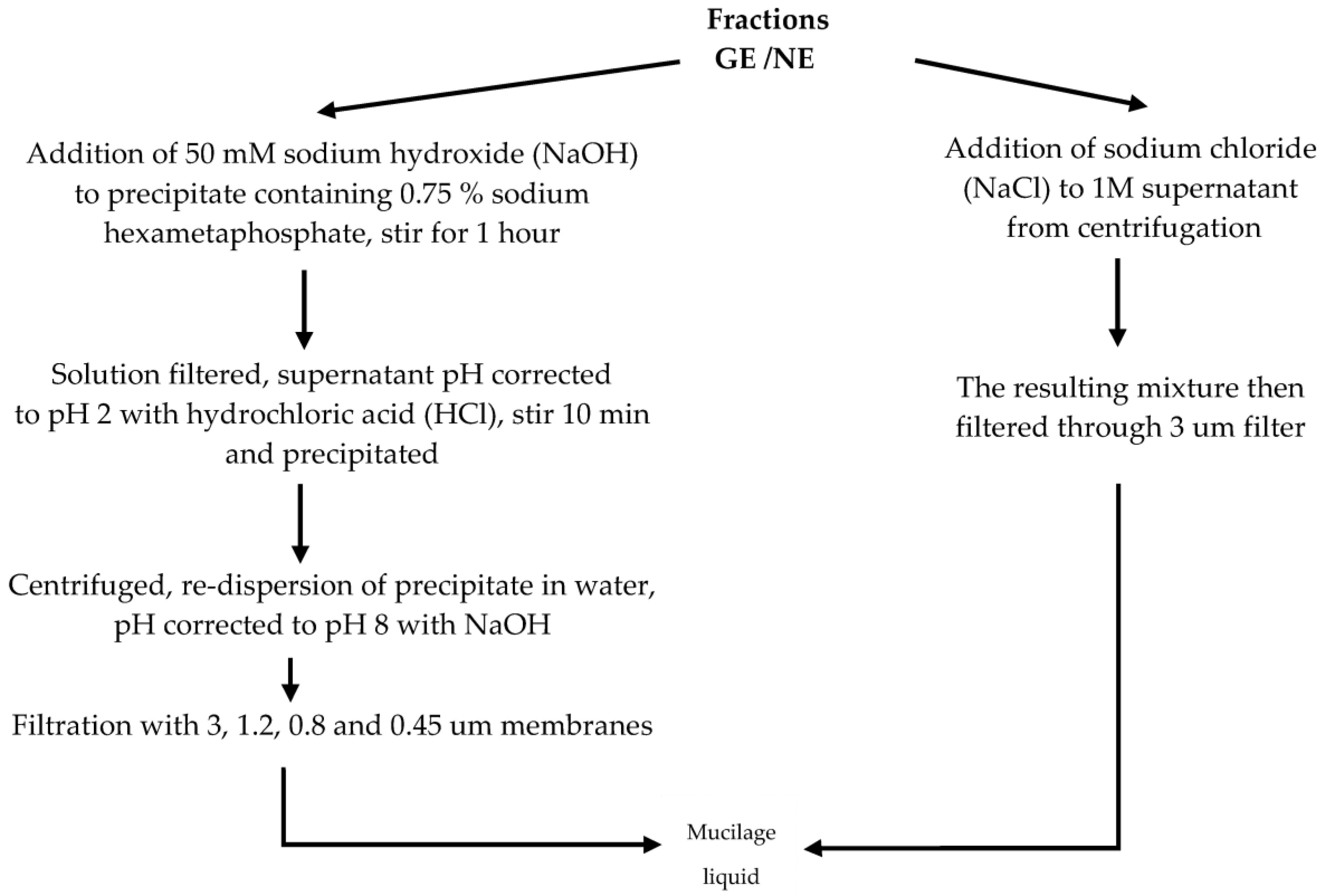 Polymers 16 01993 g002