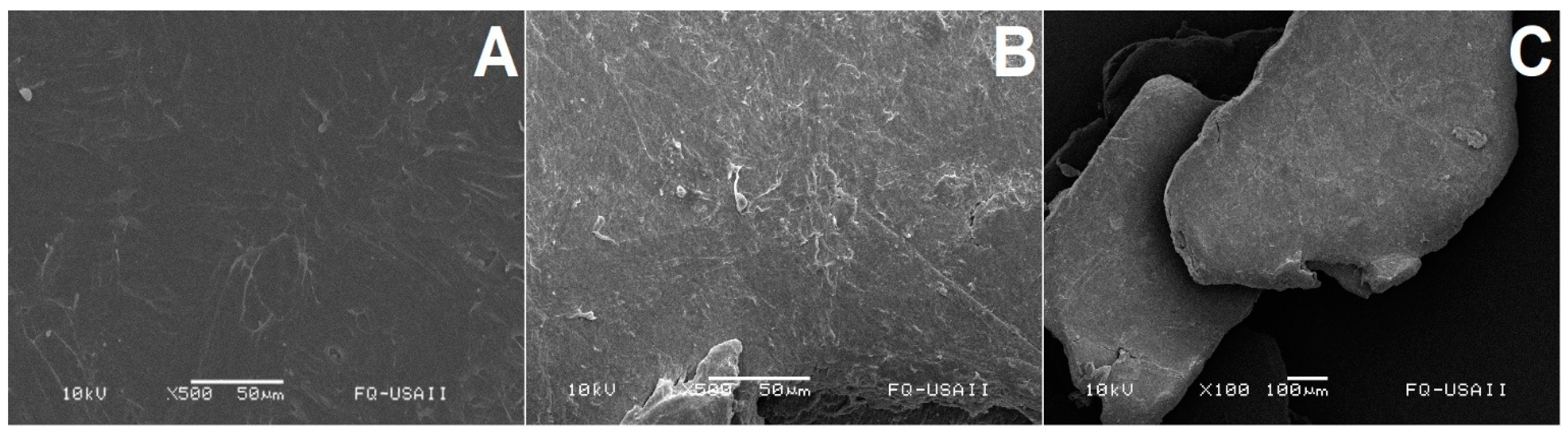Polymers 16 01994 g007