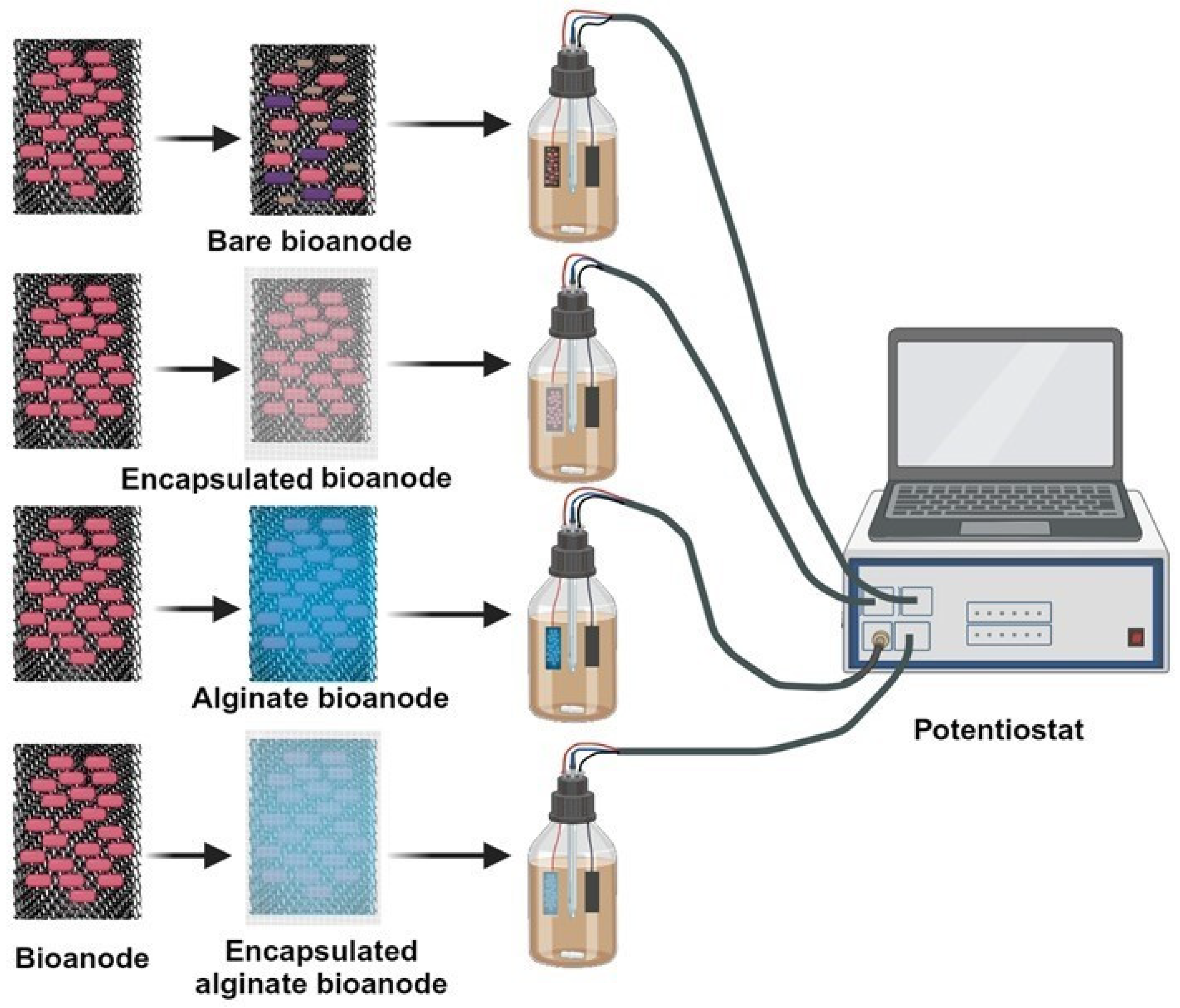 Polymers 16 01996 sch001