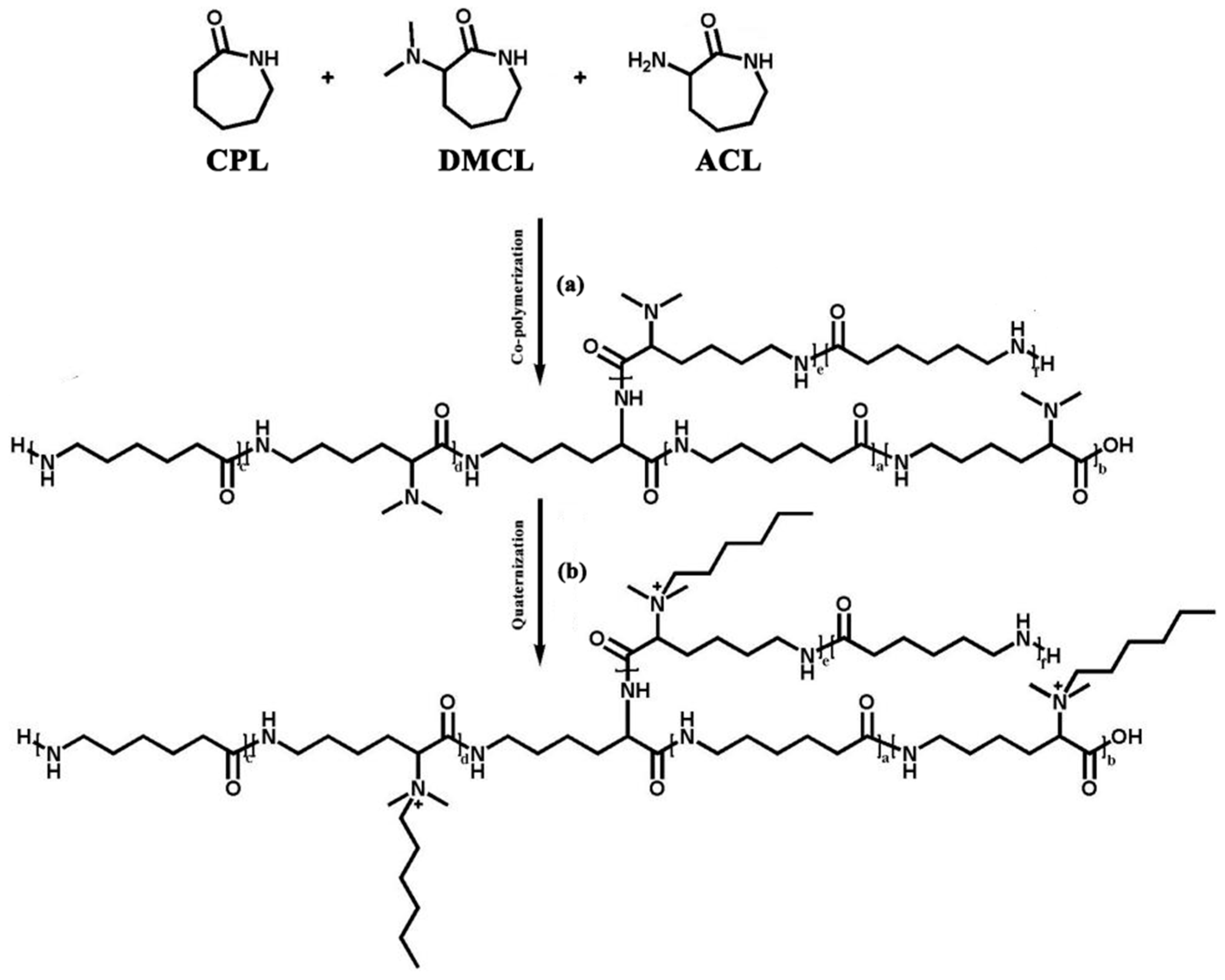 Polymers 16 01997 g001