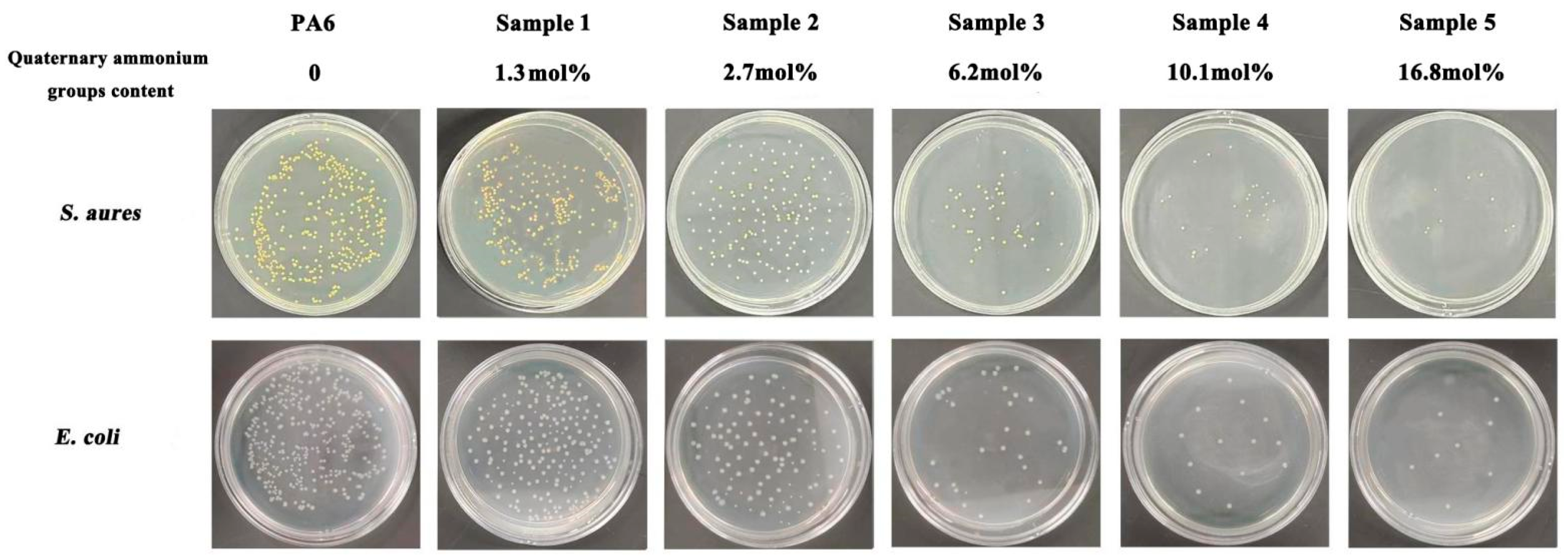 Polymers 16 01997 g009