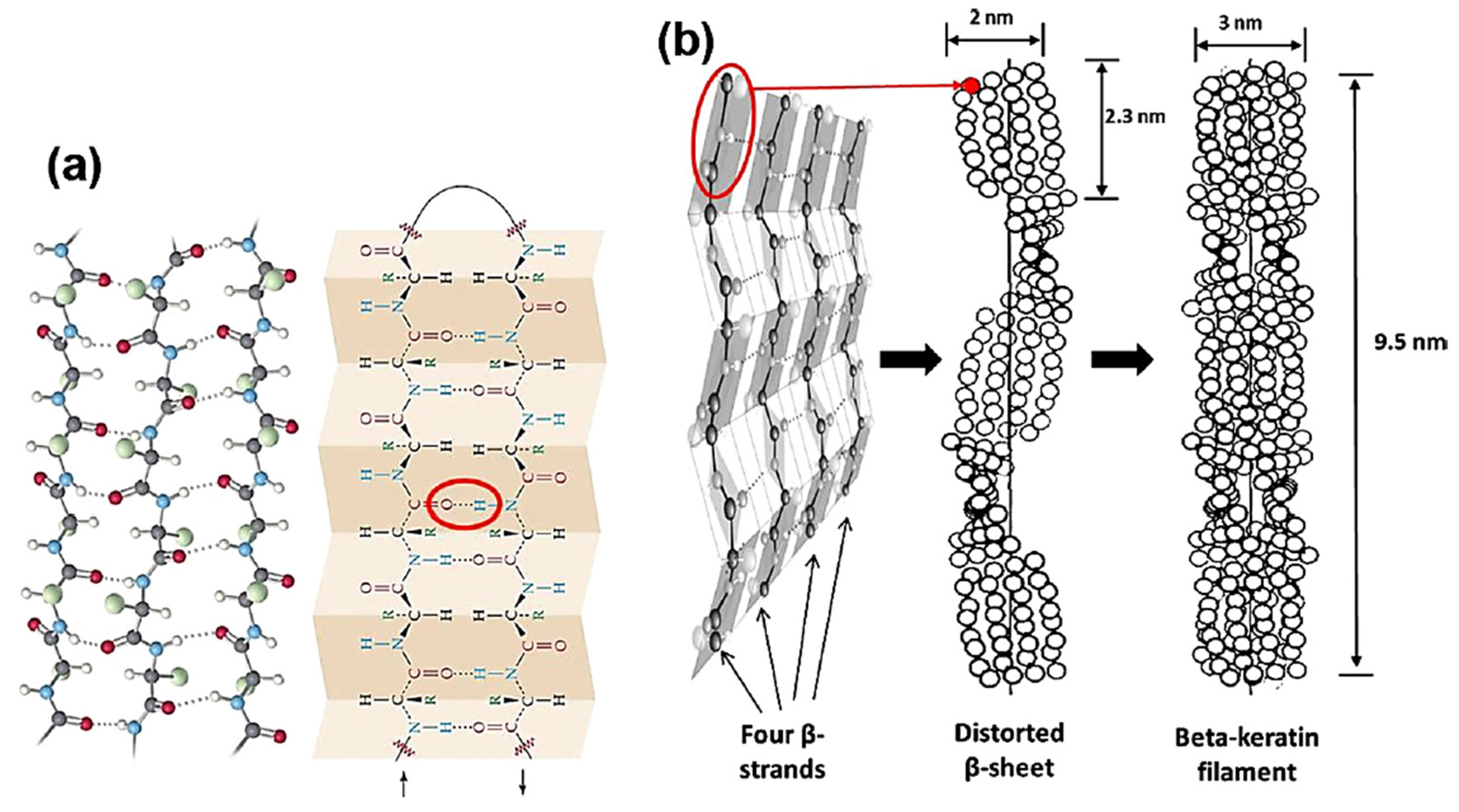 Polymers 16 01999 g002
