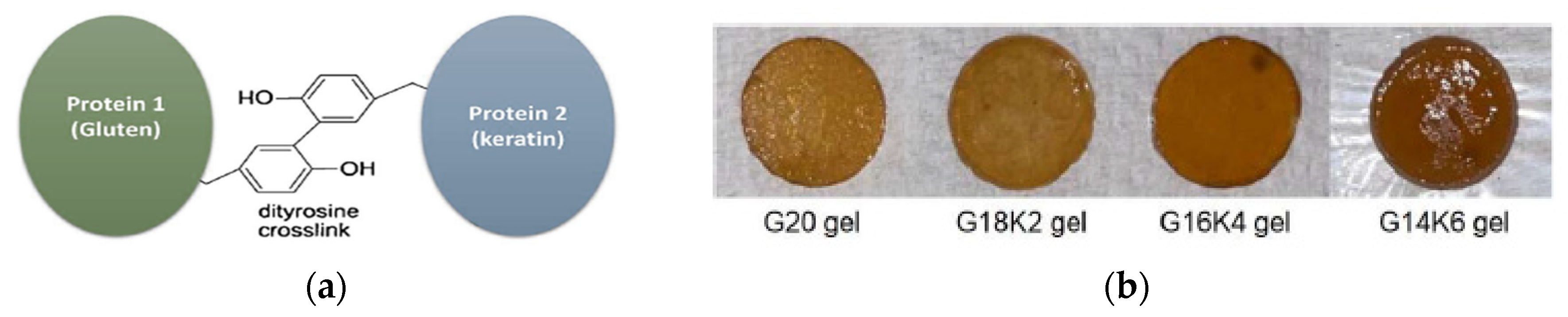 Polymers 16 01999 g007