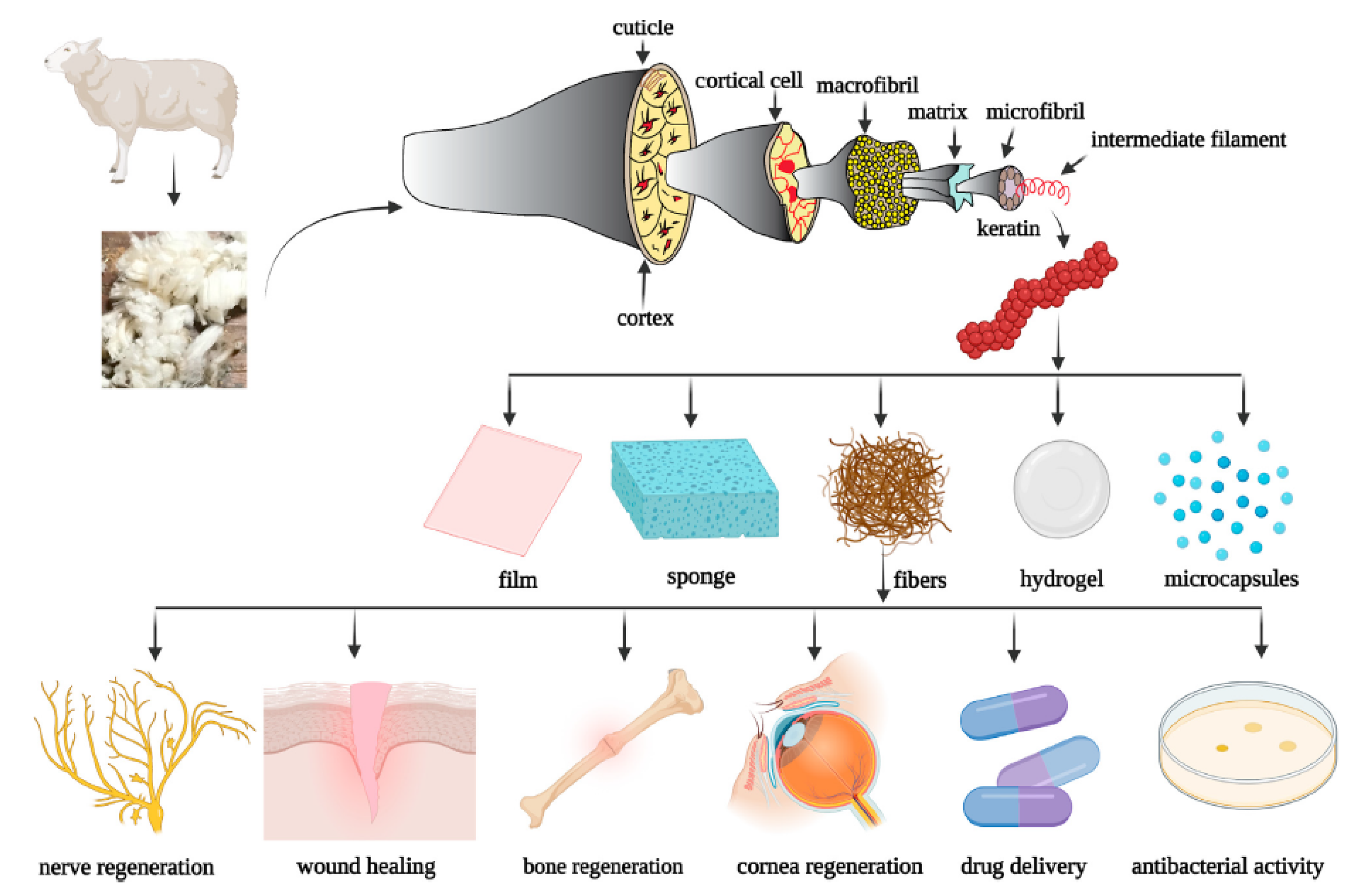 Polymers 16 01999 g009