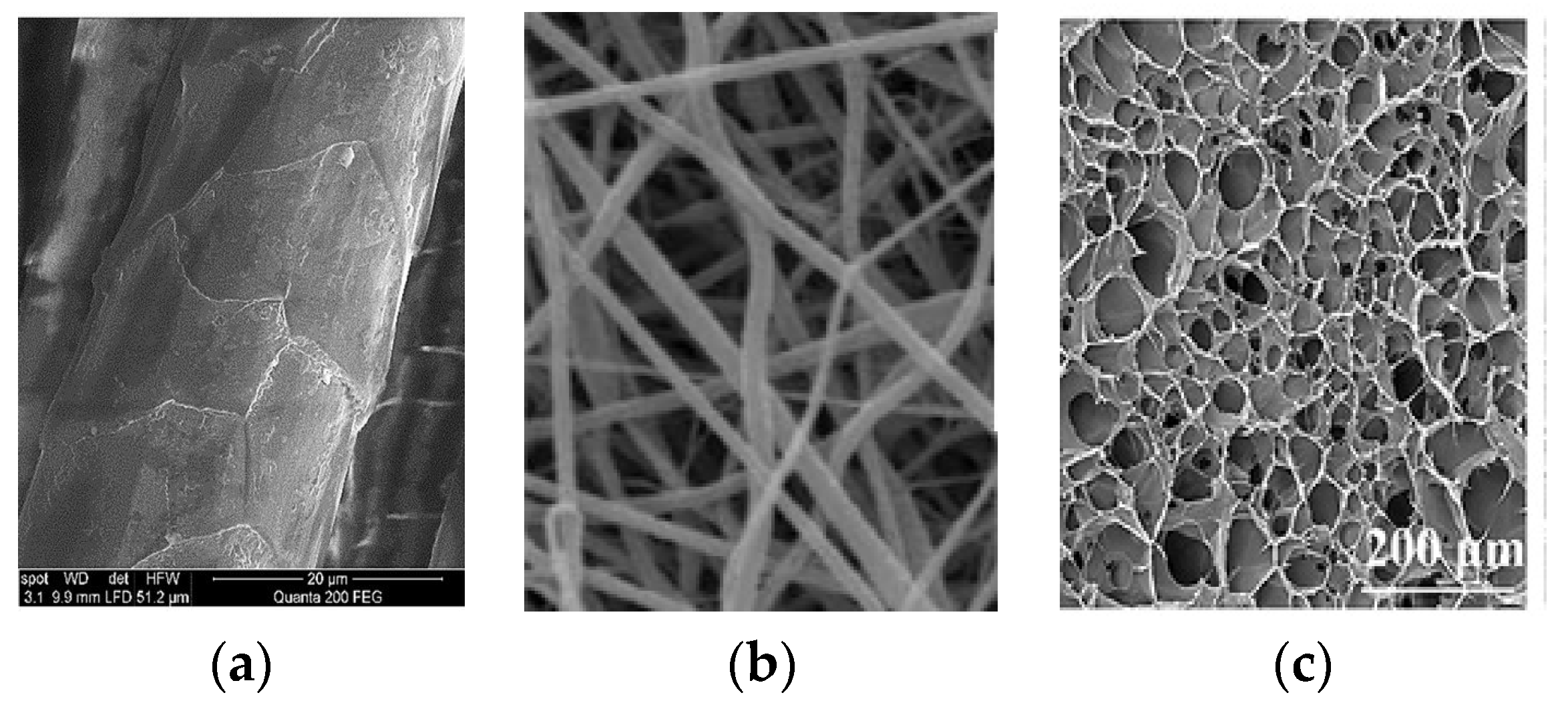 Polymers 16 01999 g010
