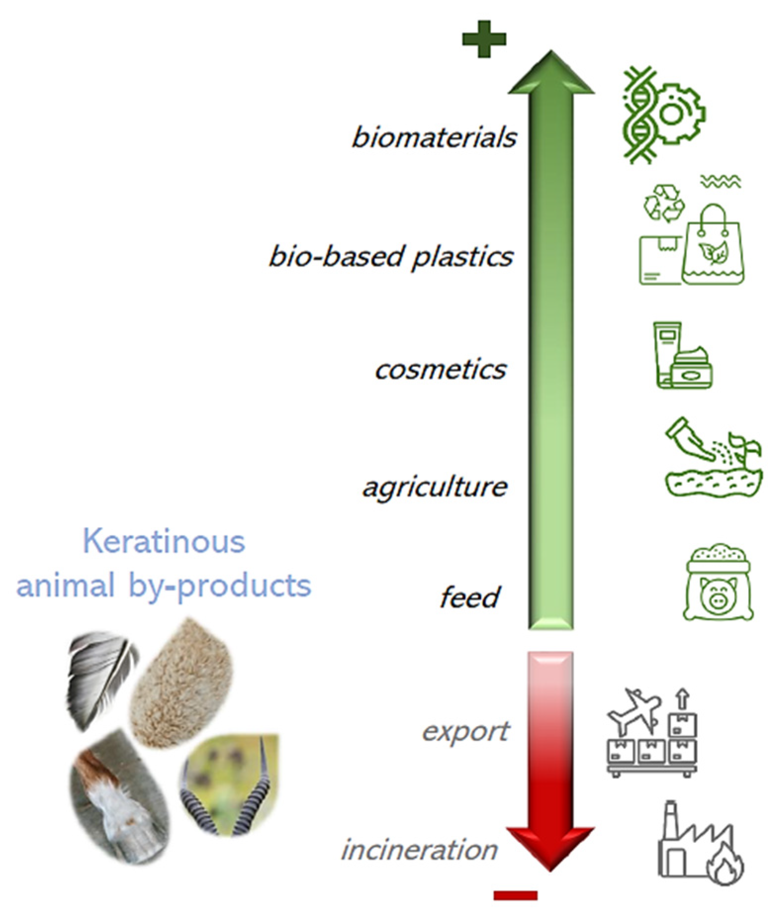 Polymers 16 01999 g012