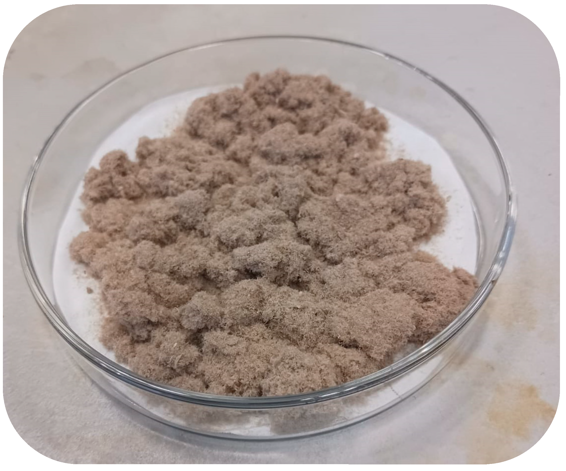 Polymers 16 02000 g002