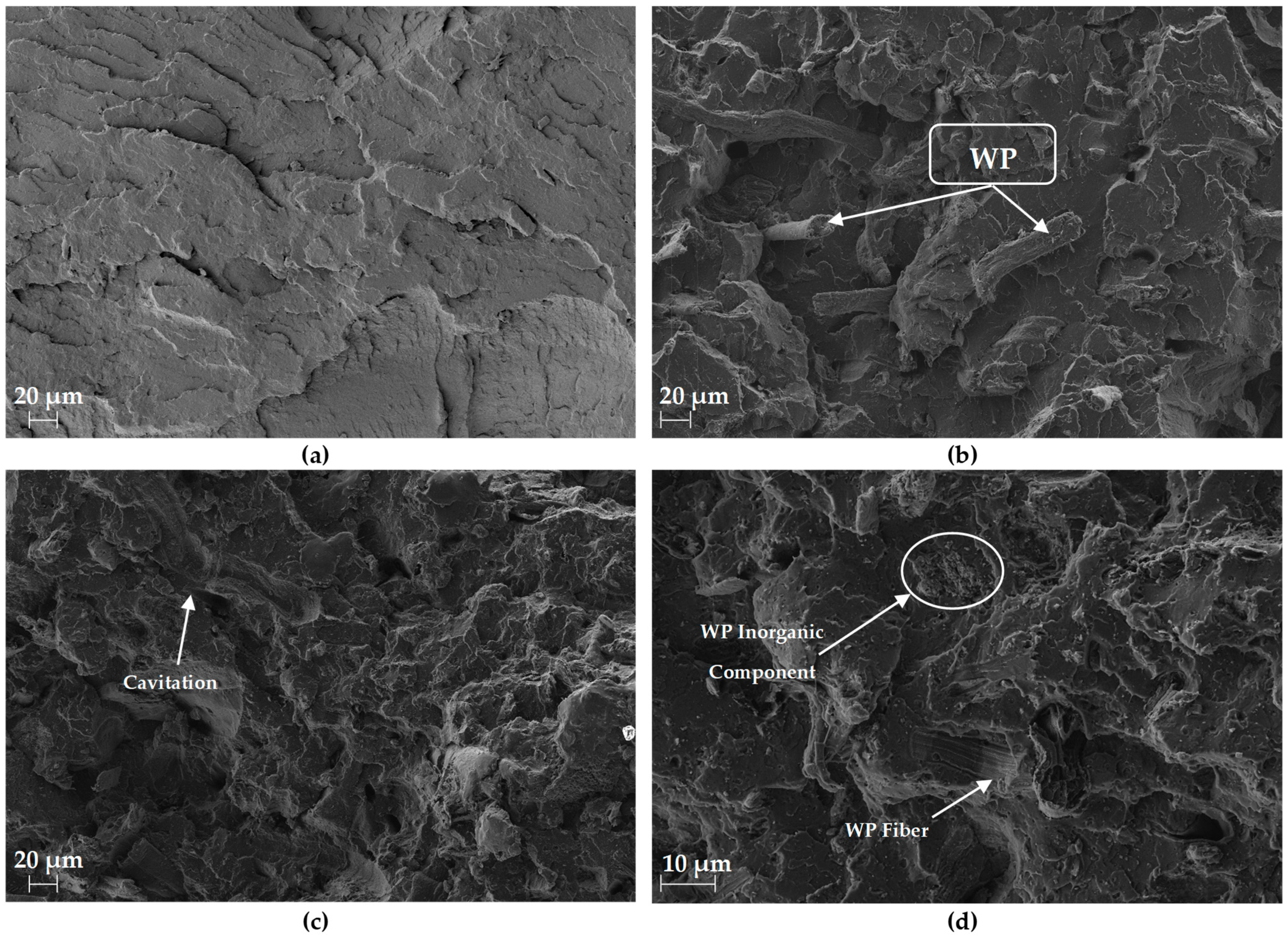 Polymers 16 02000 g011
