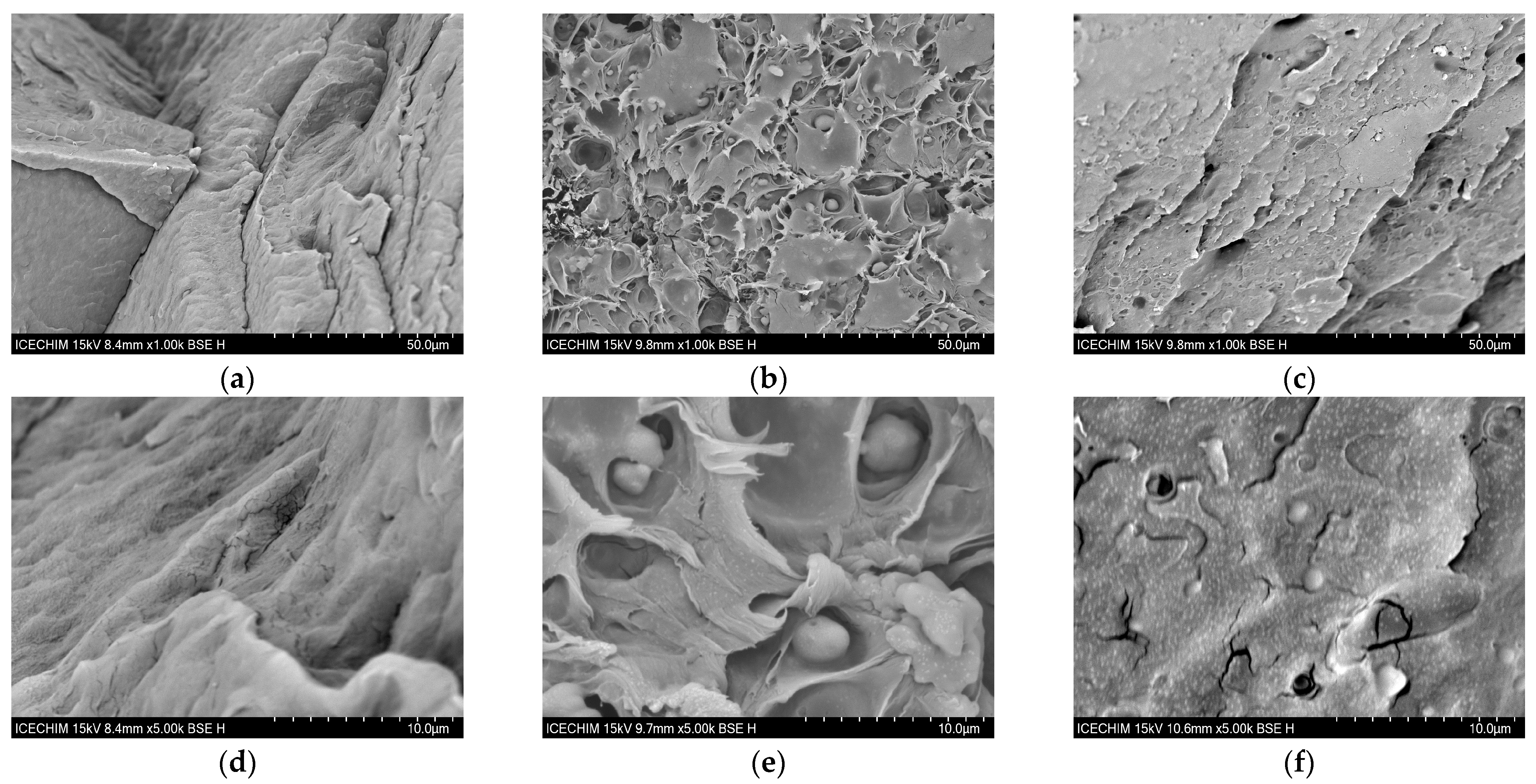 Polymers 16 02003 g007