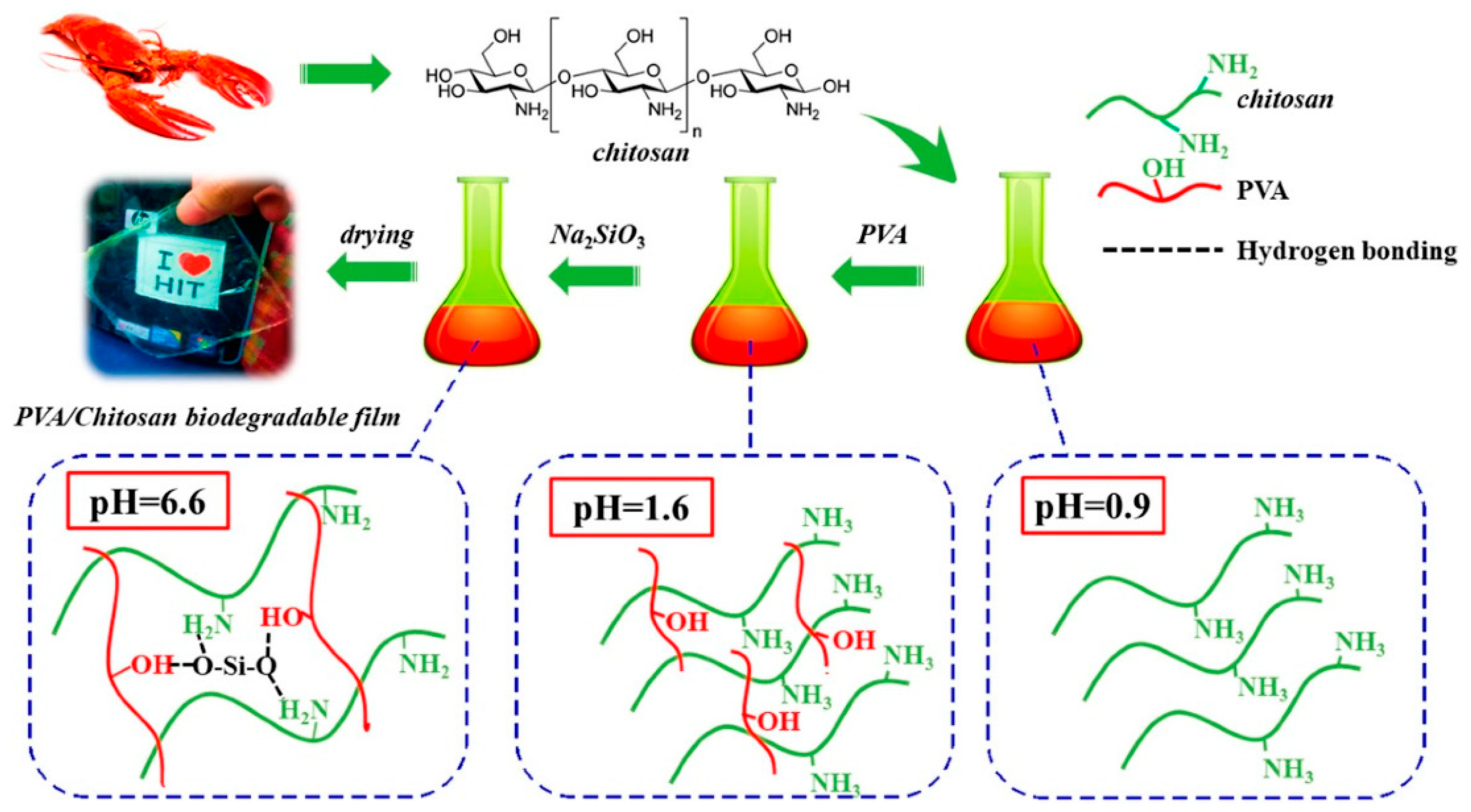 Polymers 16 02007 g004