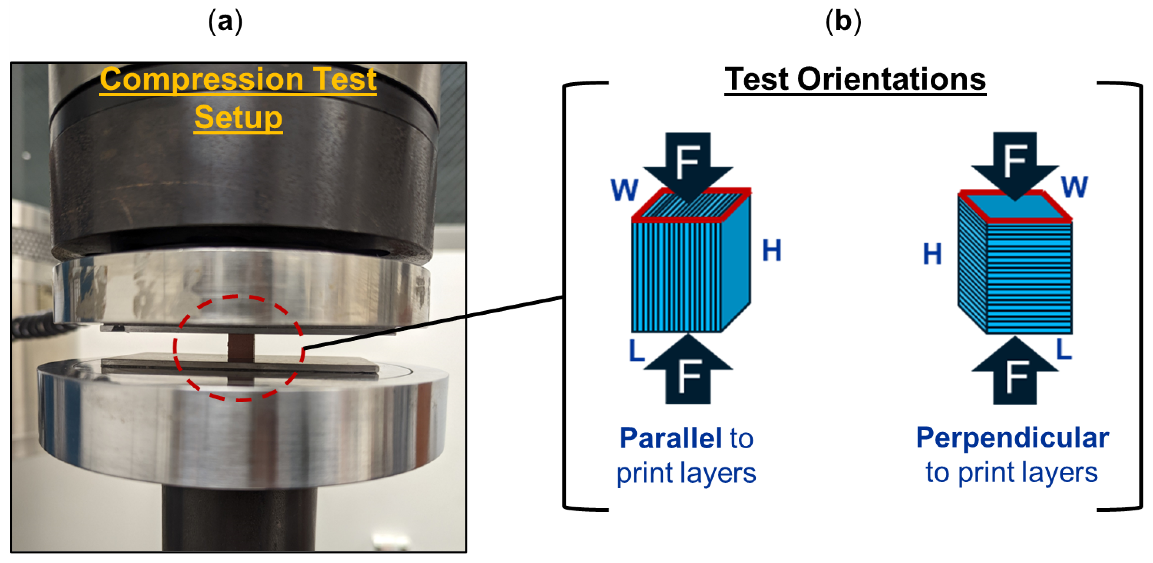 Polymers 16 02008 g002