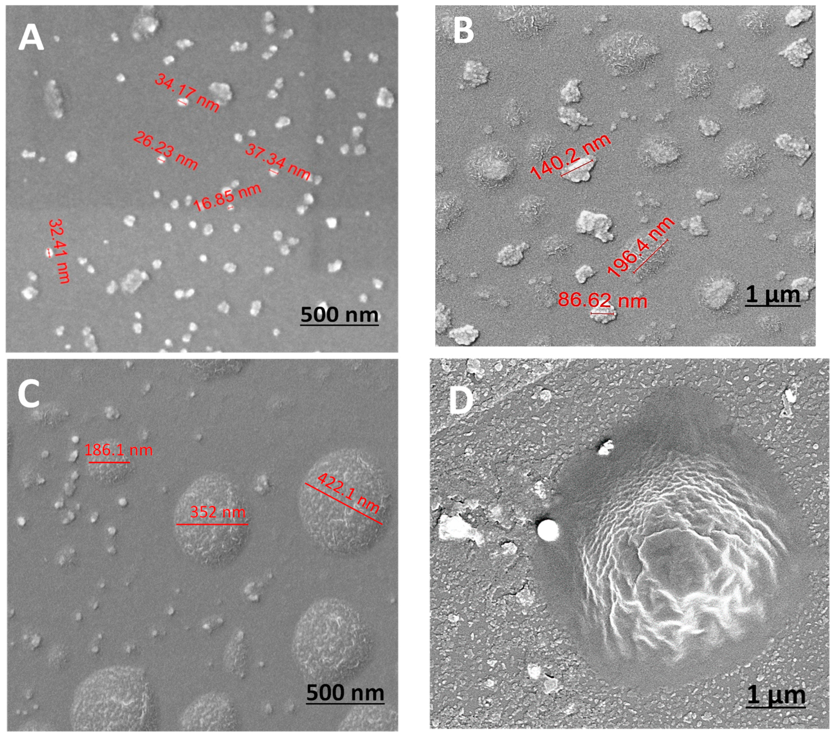 Polymers 16 02013 g003