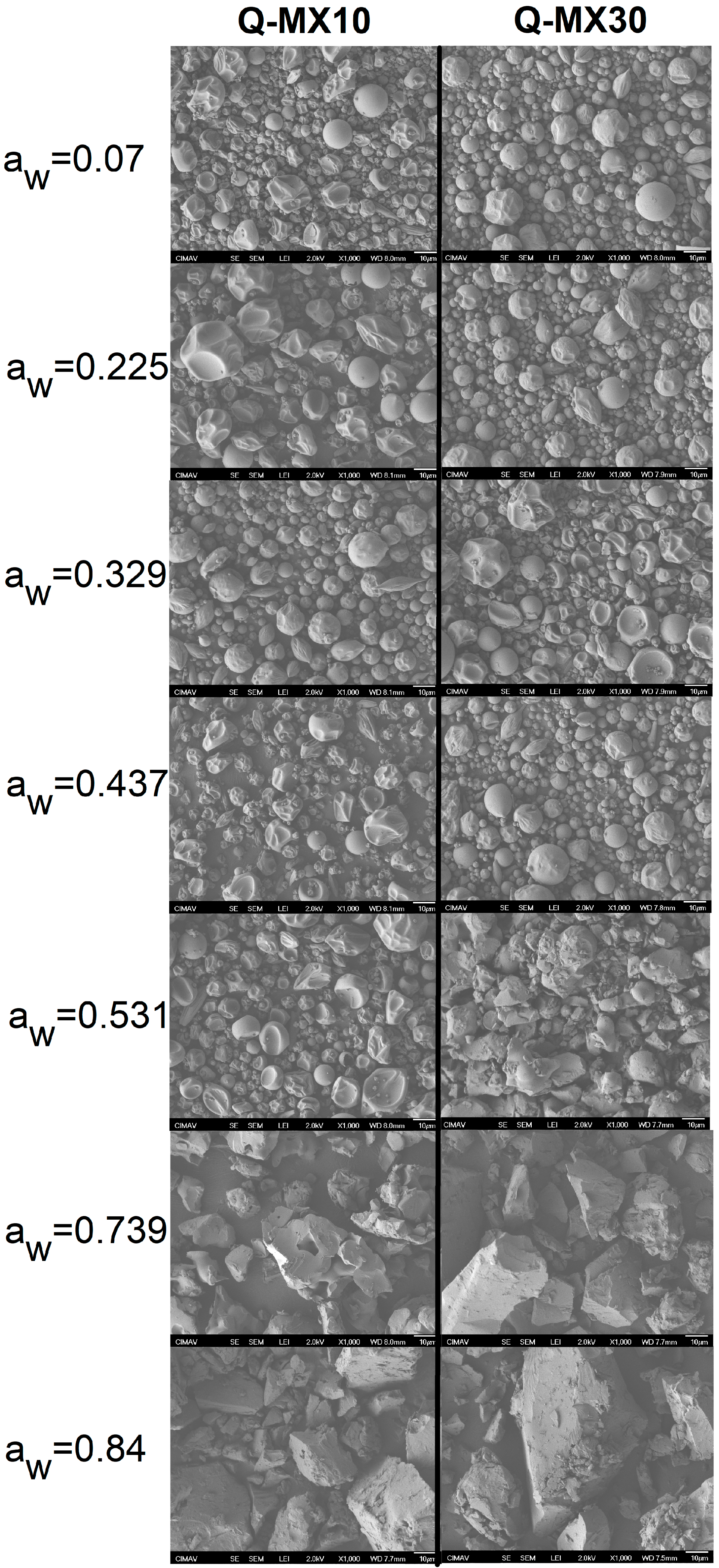 Polymers 16 02014 g003