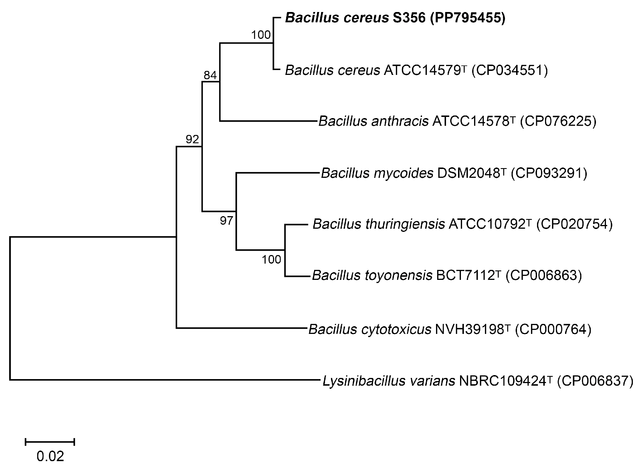 Polymers 16 02015 g002