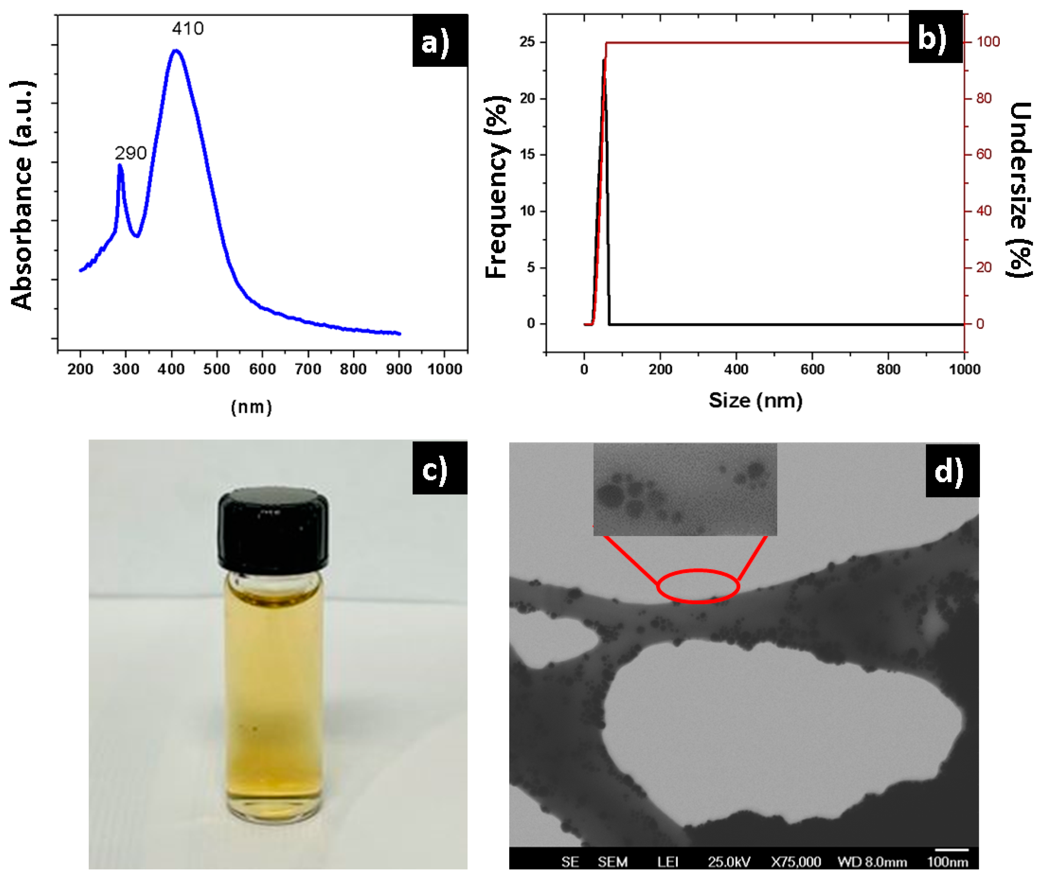 Polymers 16 02017 g002 Polymers 16 02017 g002