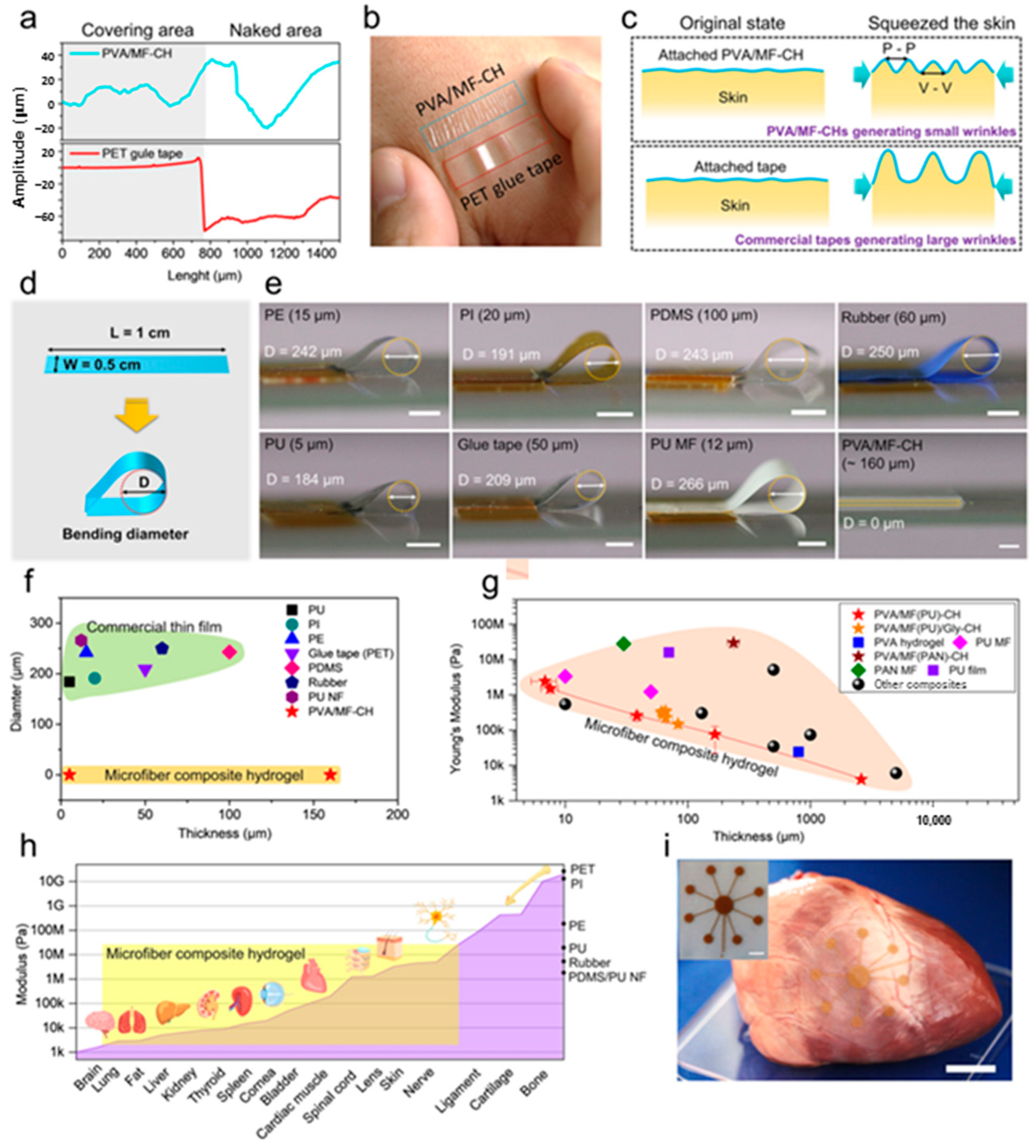 Polymers 16 02021 g013
