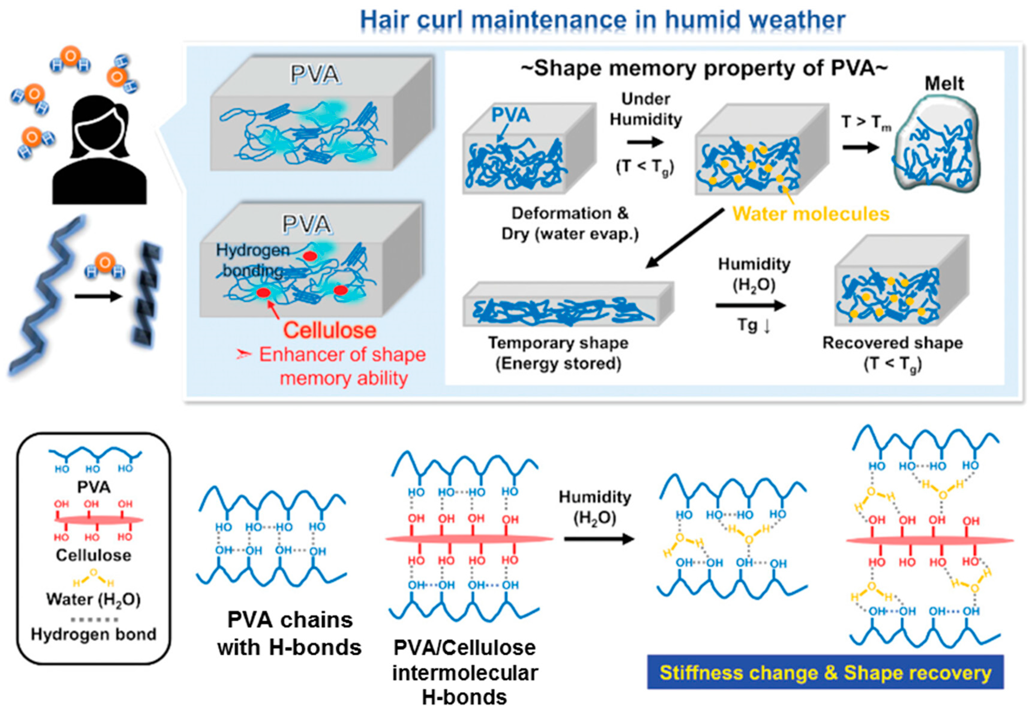 Polymers 16 02021 g019