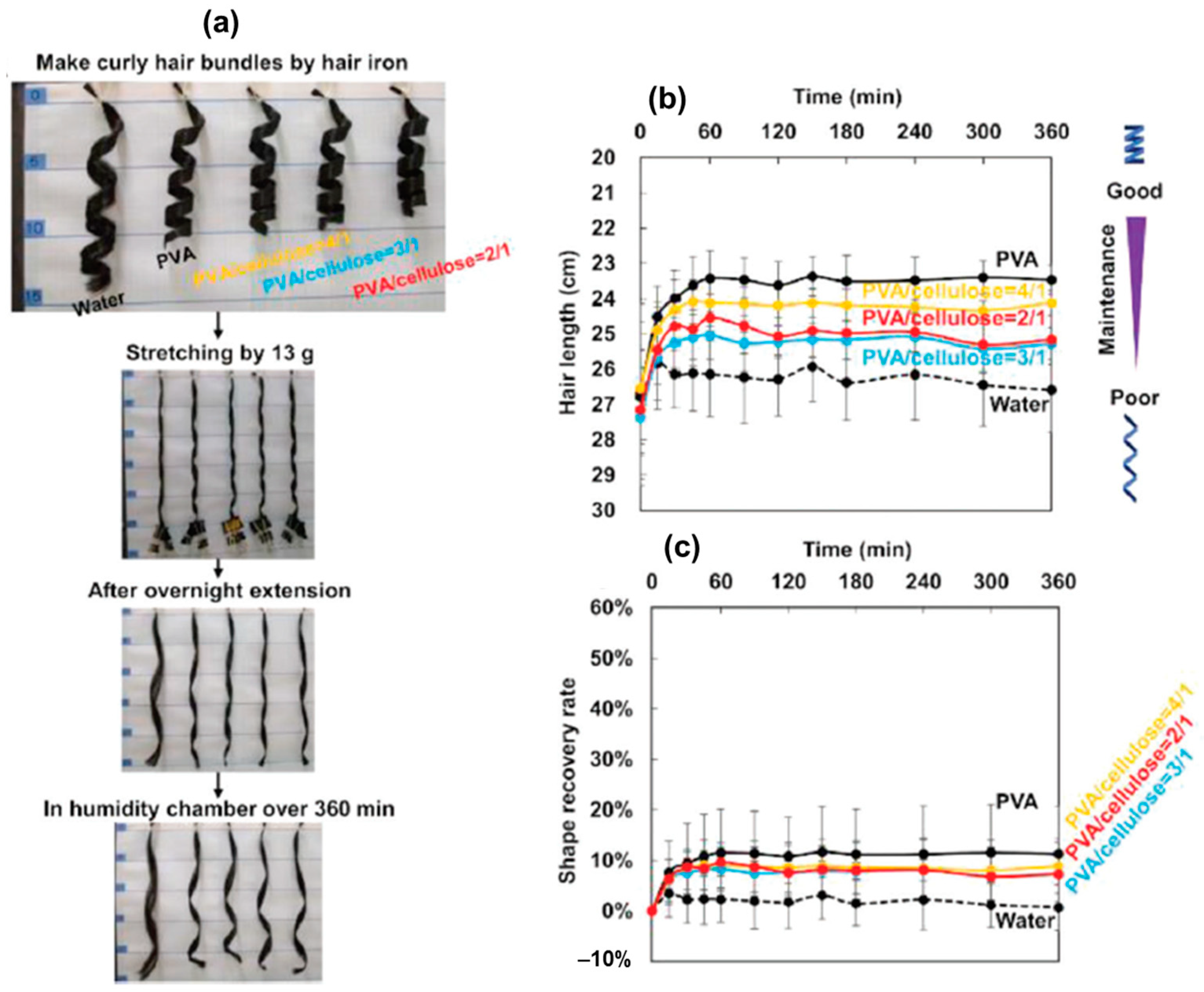 Polymers 16 02021 g020