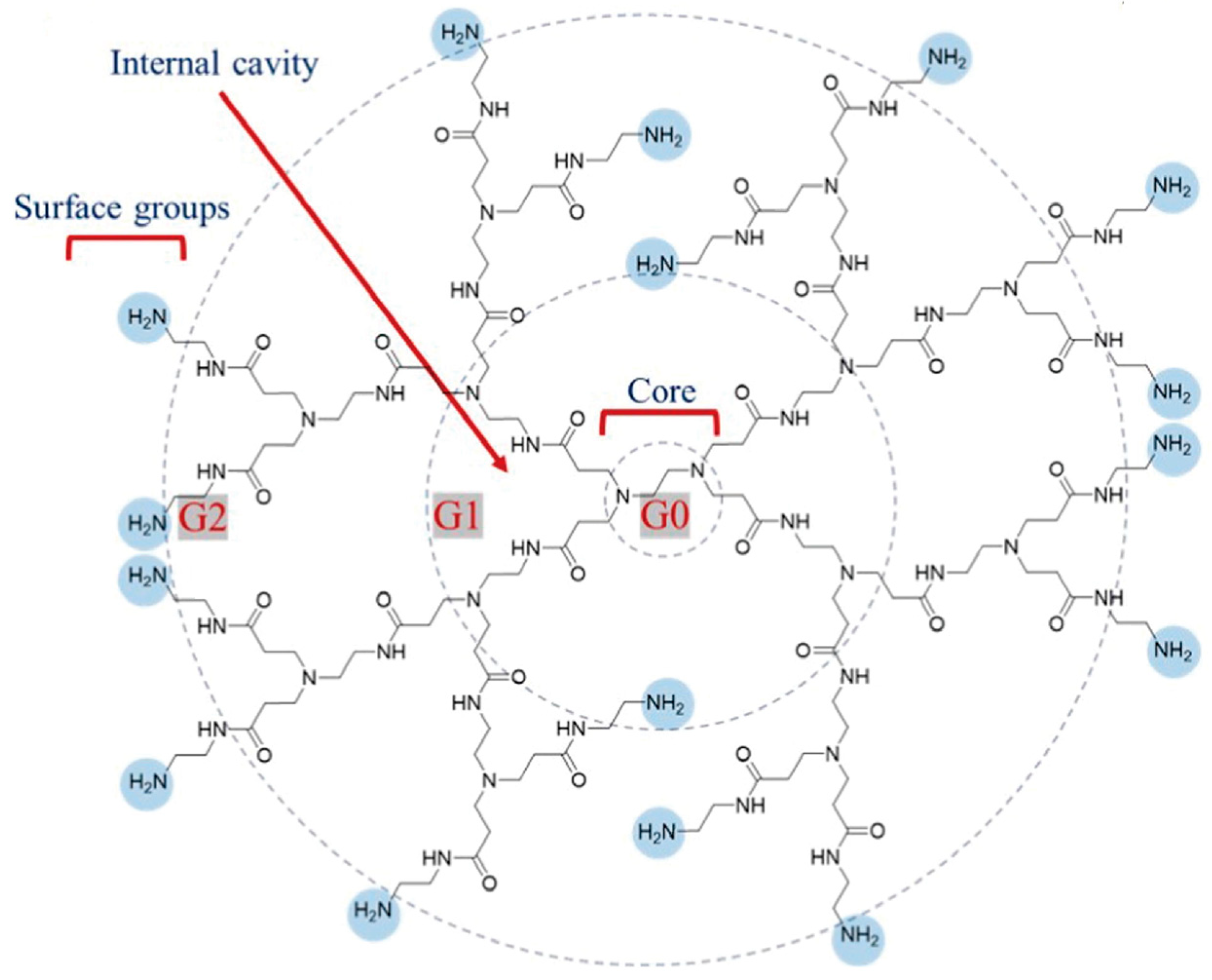 Polymers 16 02022 g002