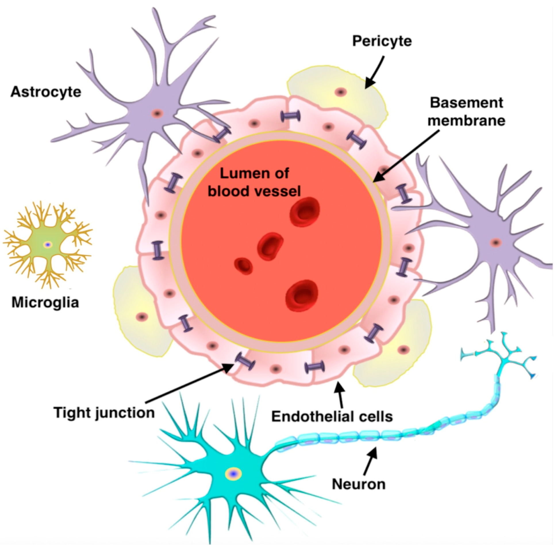 Polymers 16 02022 g004