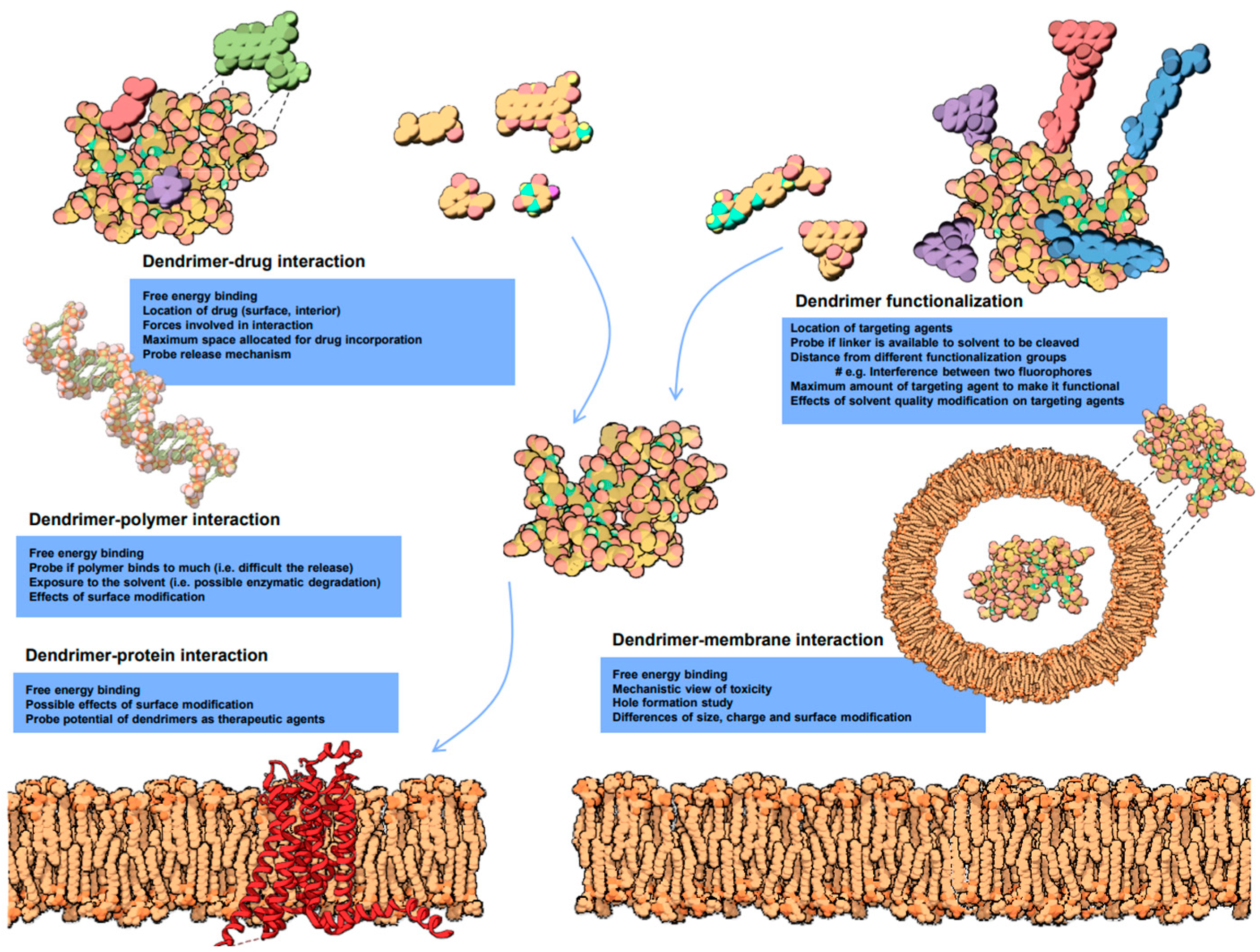 Polymers 16 02022 g006