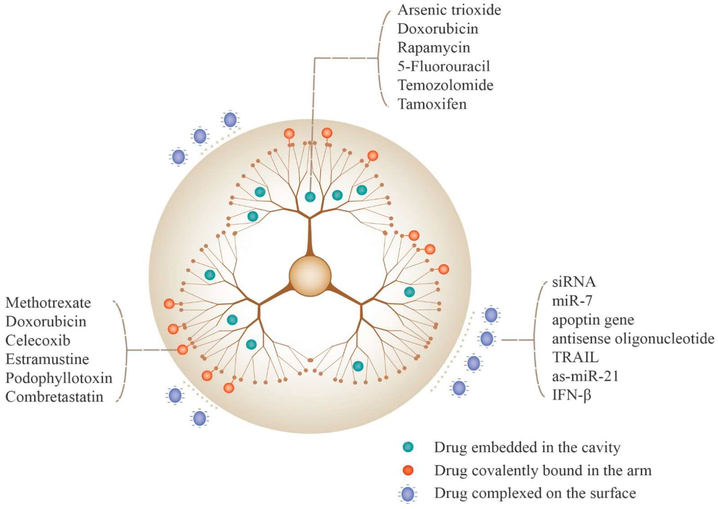 Polymers 16 02022 g007
