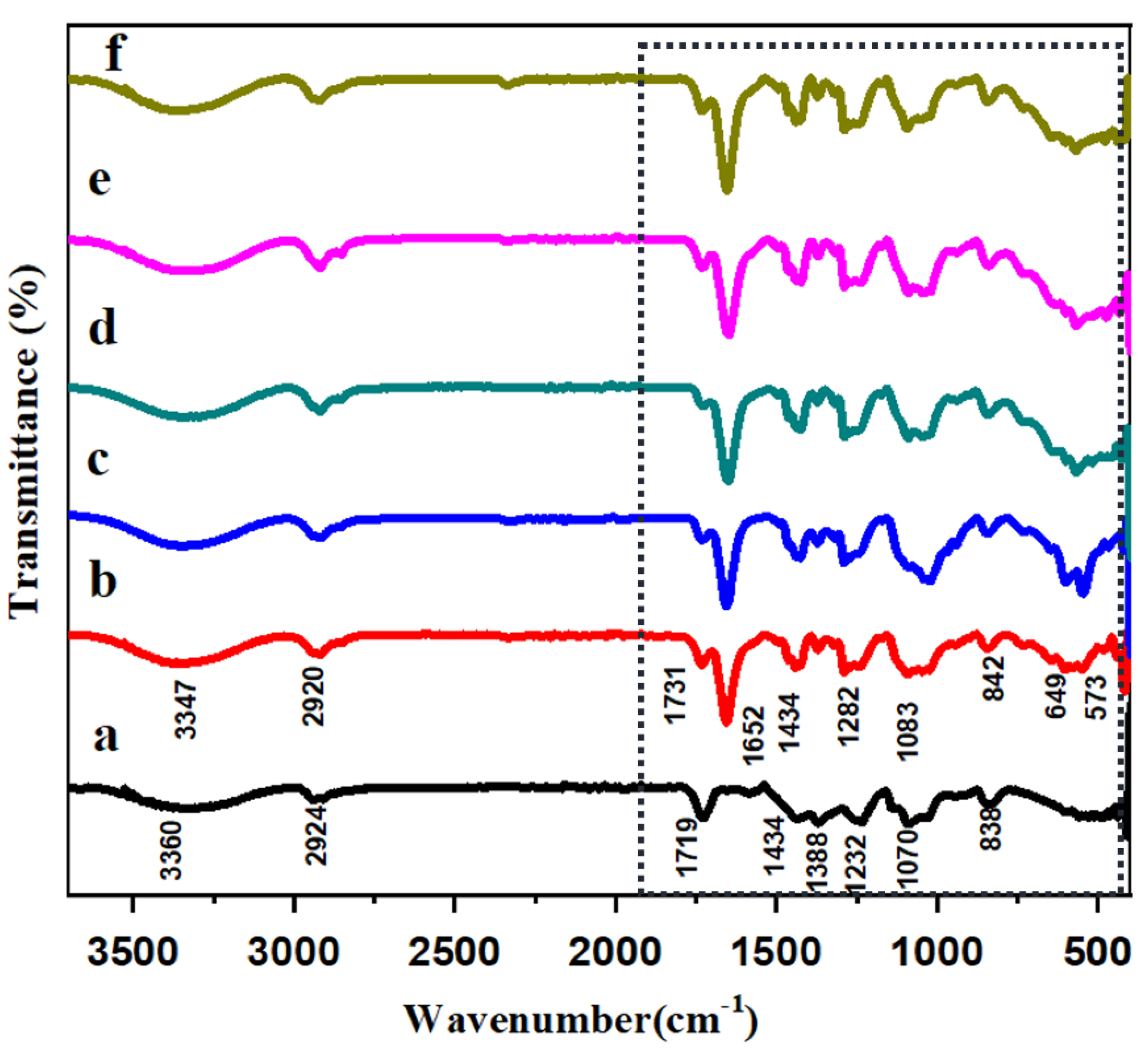 Polymers 16 02023 g001