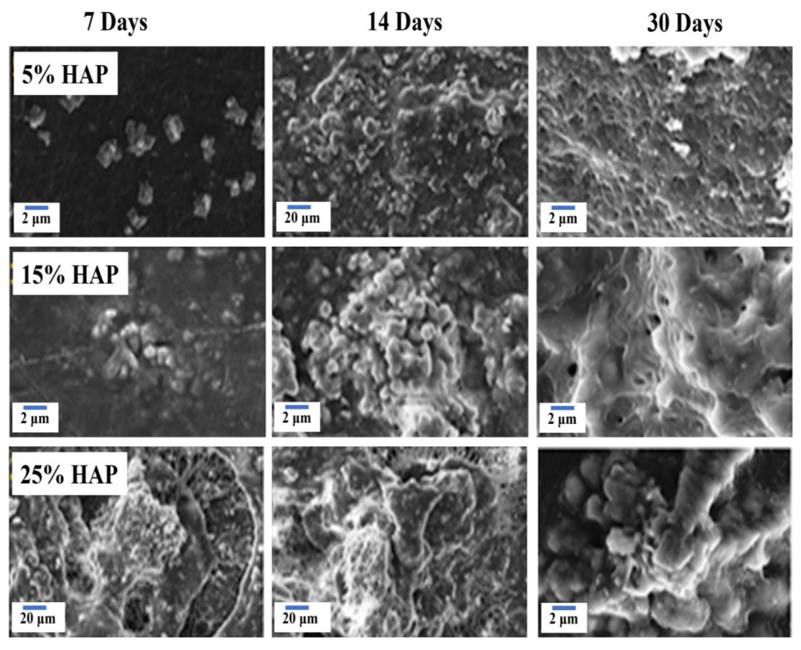 Polymers 16 02023 g009
