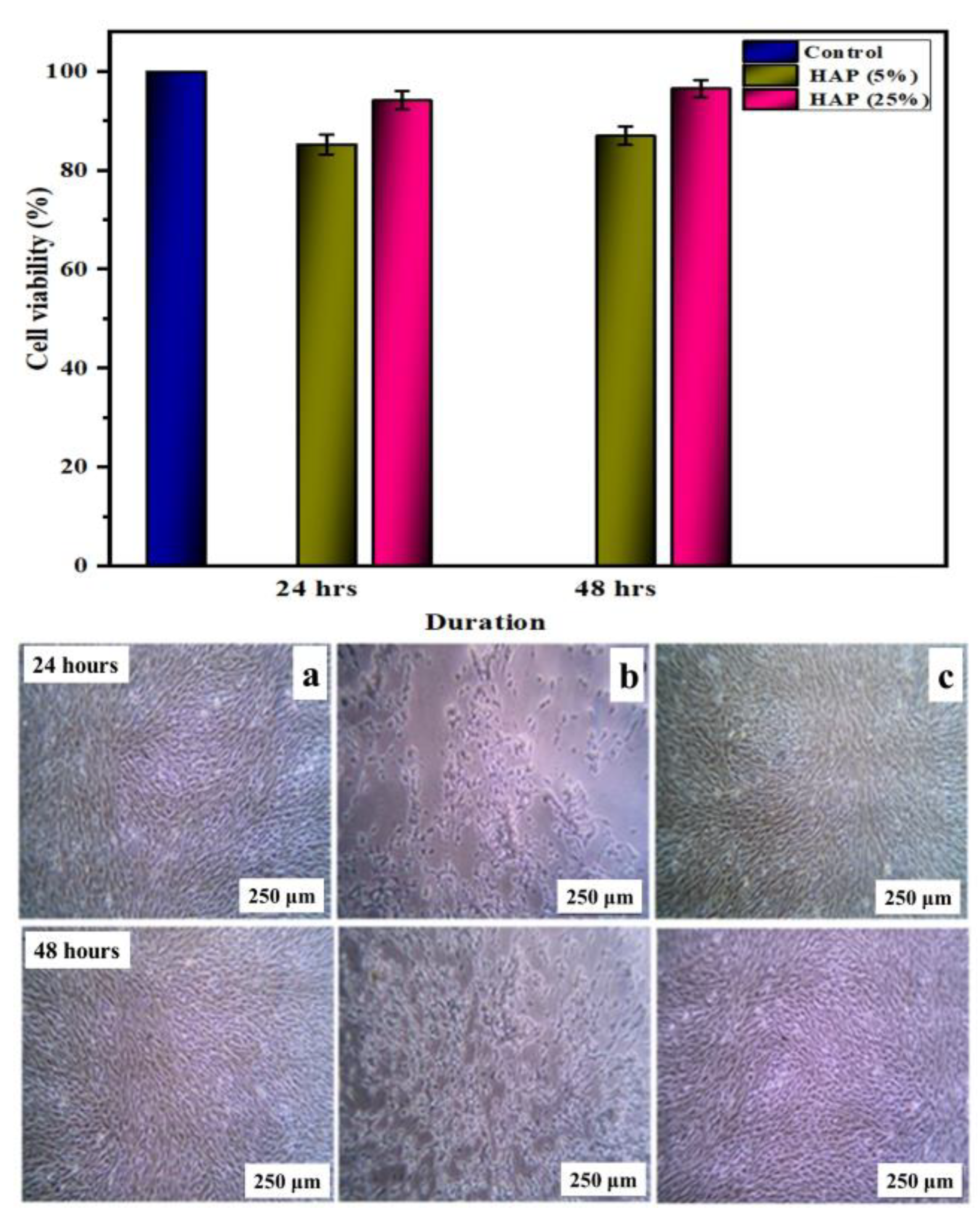 Polymers 16 02023 g013