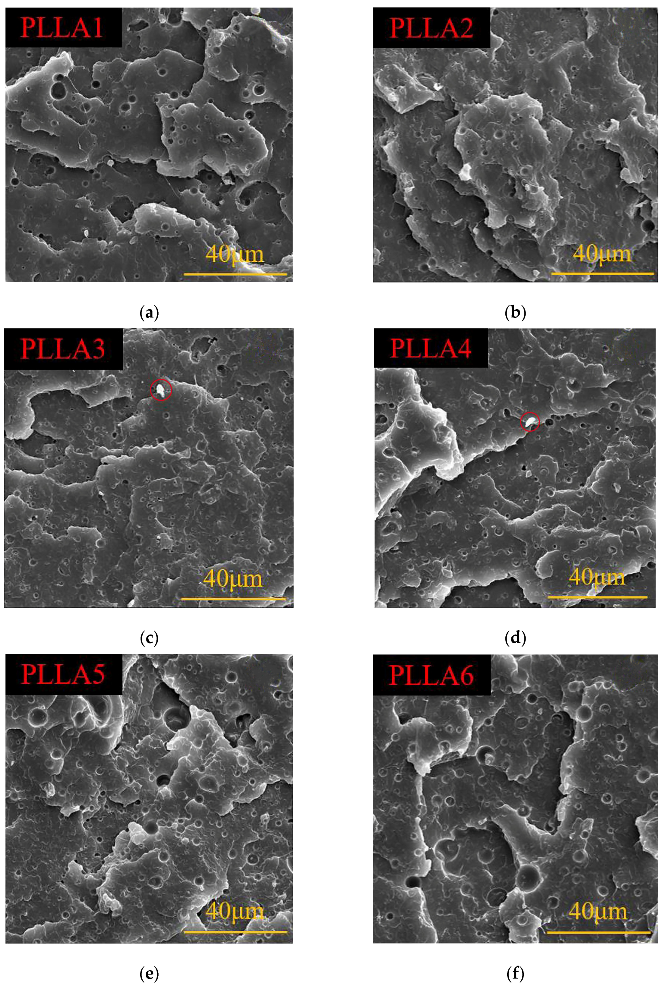 Polymers 16 02025 g006