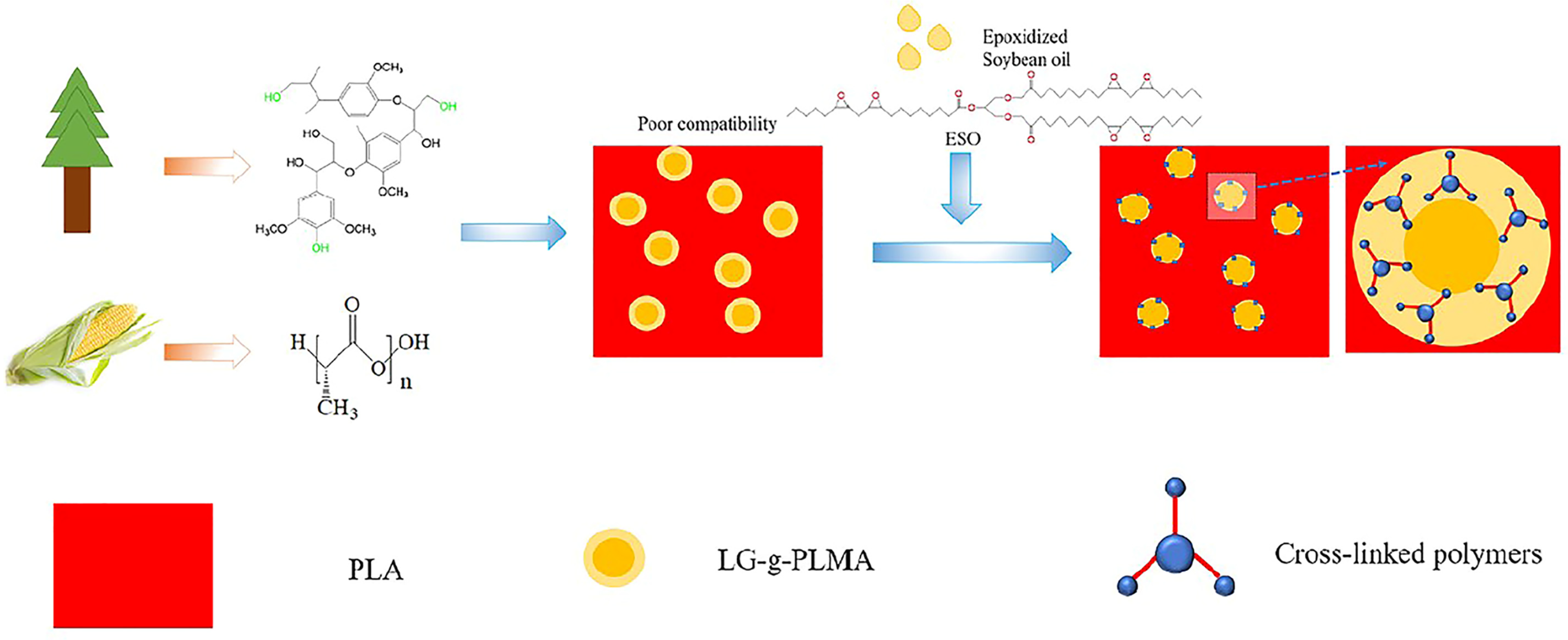 Polymers 16 02025 sch002