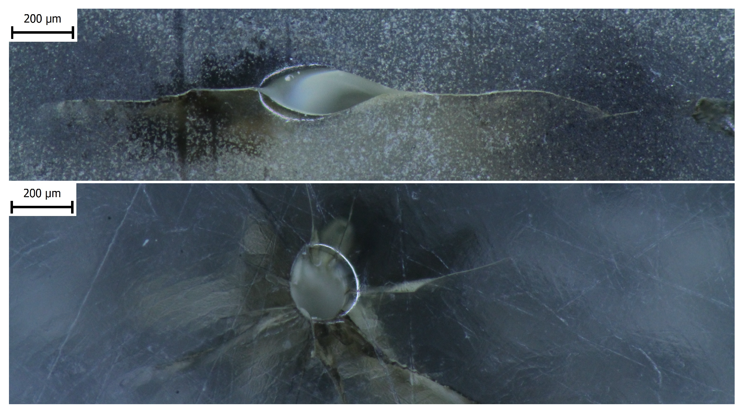 Polymers 16 02026 g009