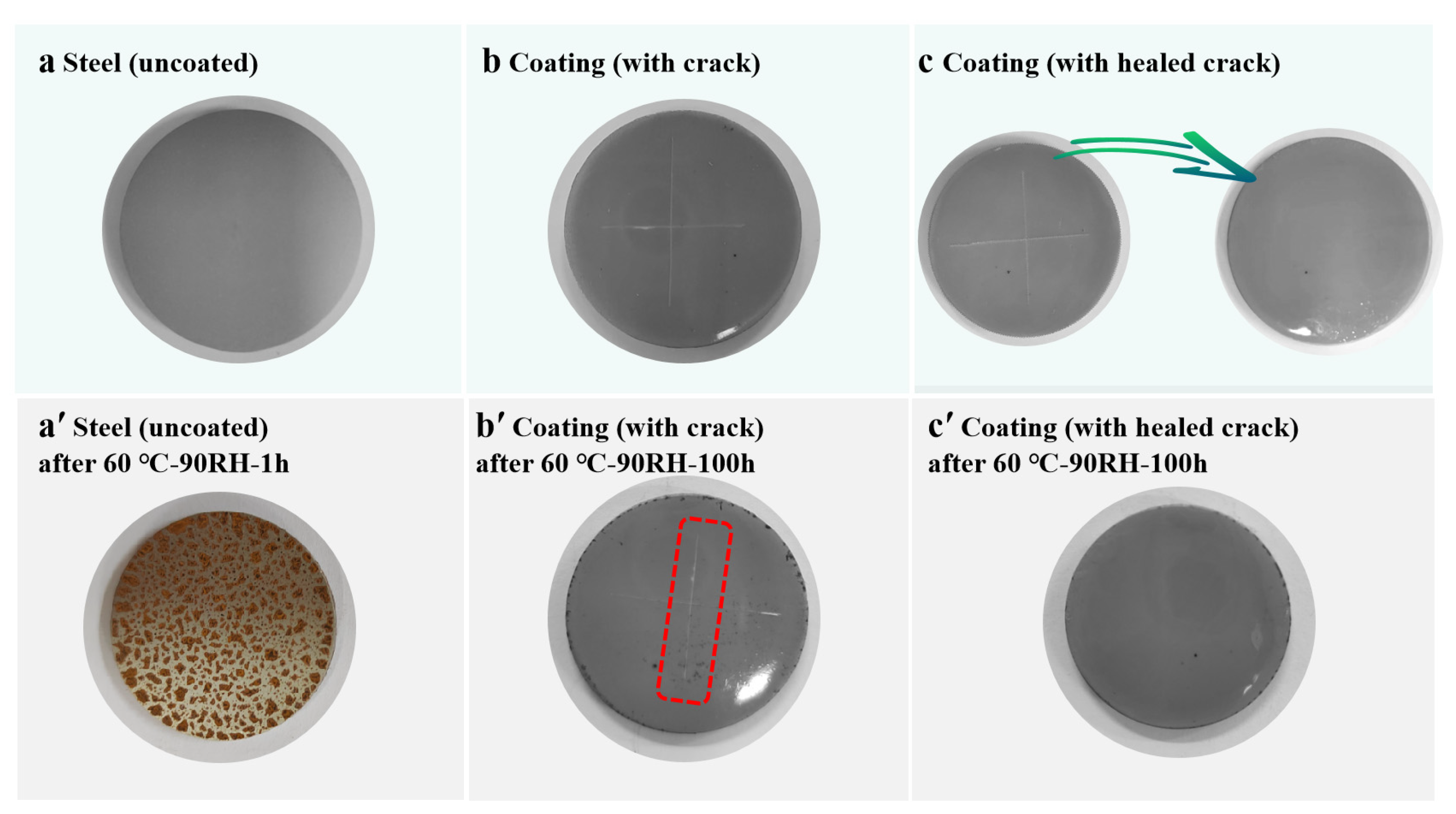 Polymers 16 02029 g007