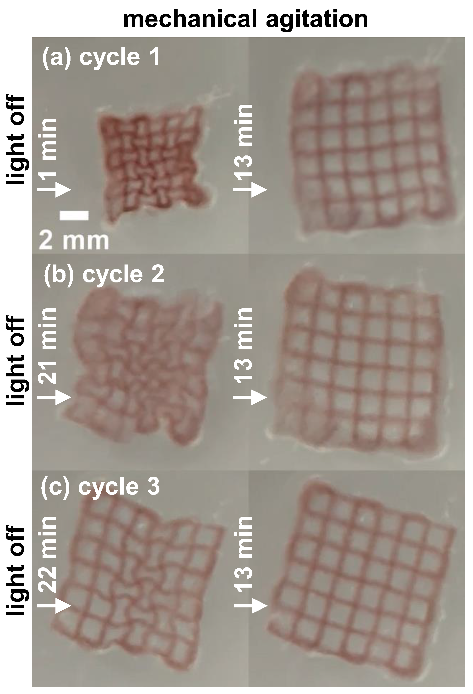 Polymers 16 02032 g004
