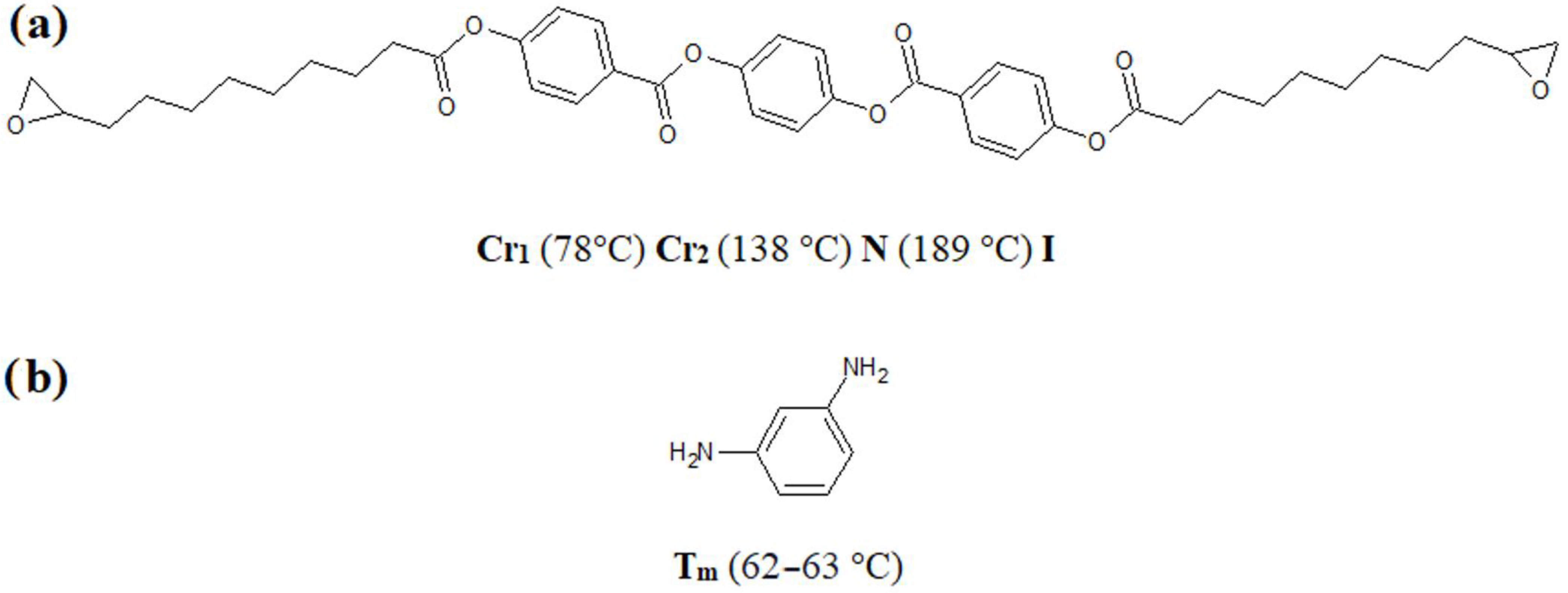 Polymers 16 02034 g001