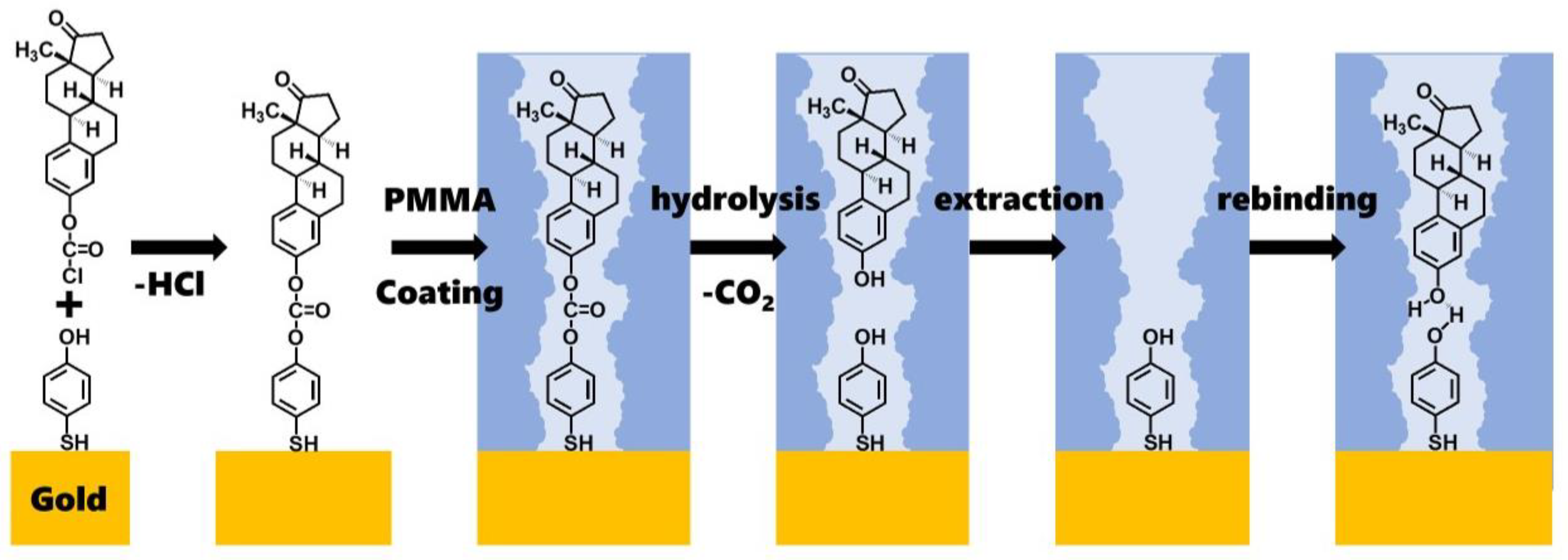 Polymers 16 02035 g002
