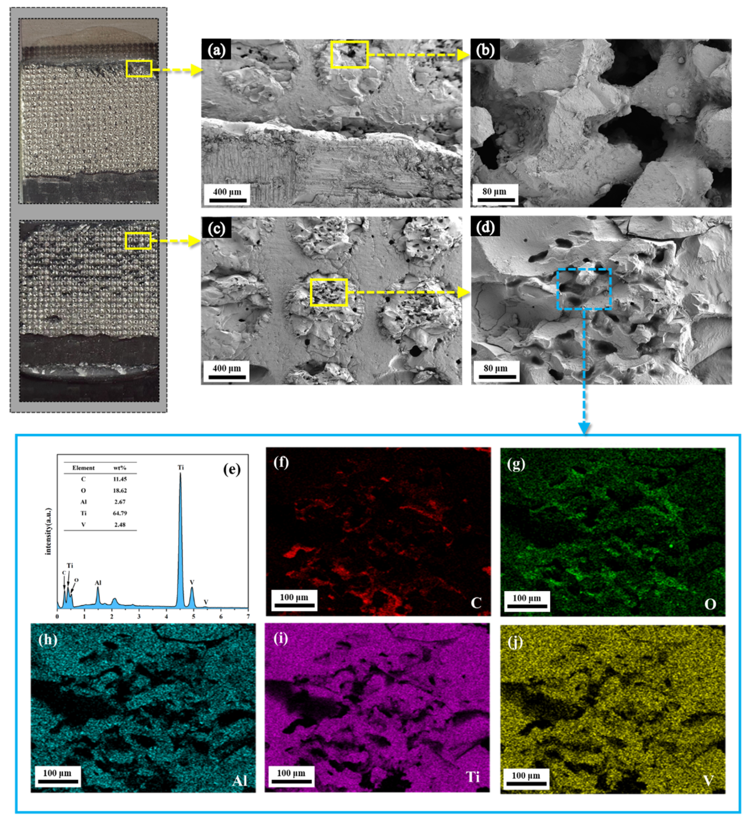 Polymers 16 02041 g009