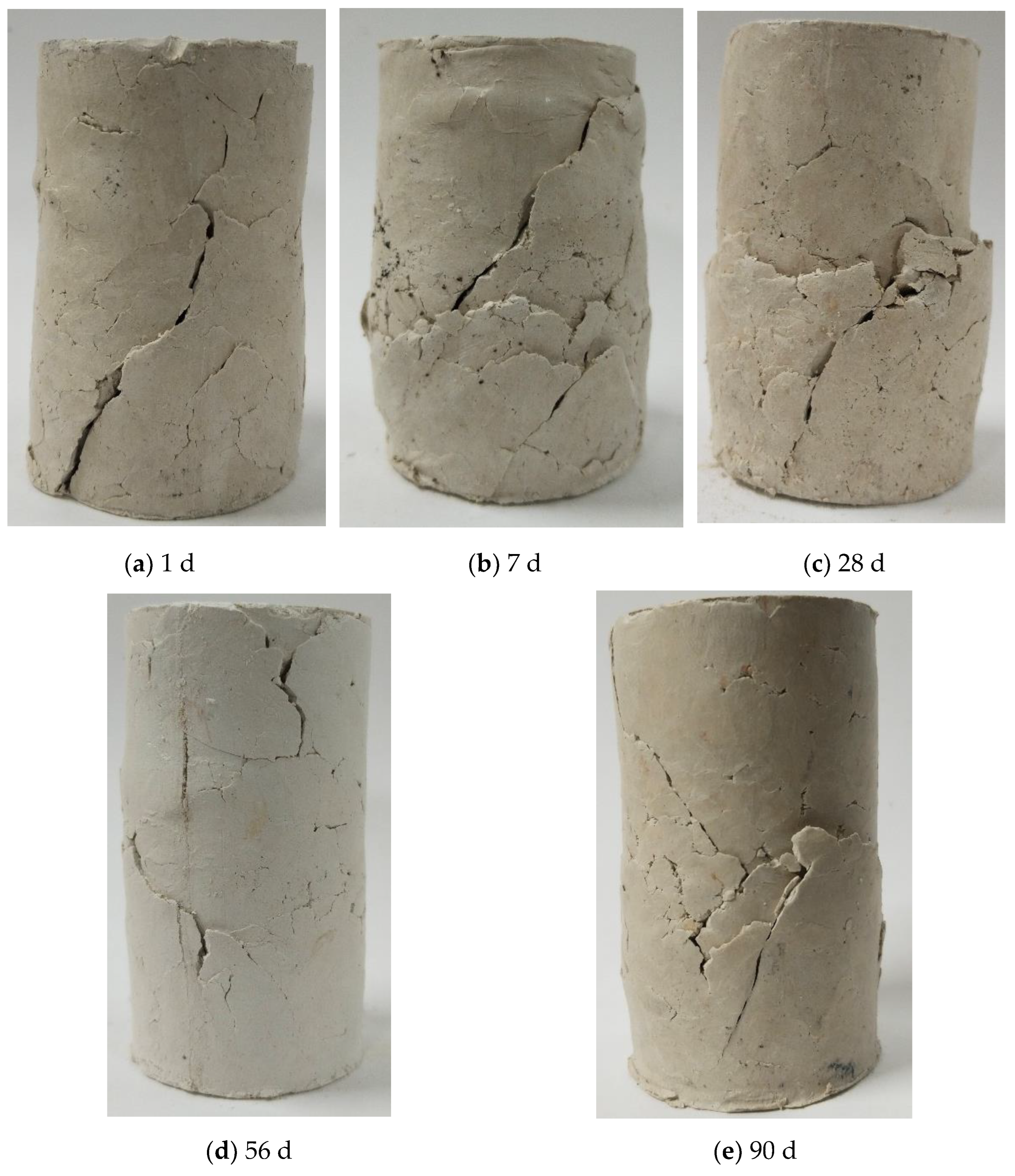 Polymers 16 02043 g007