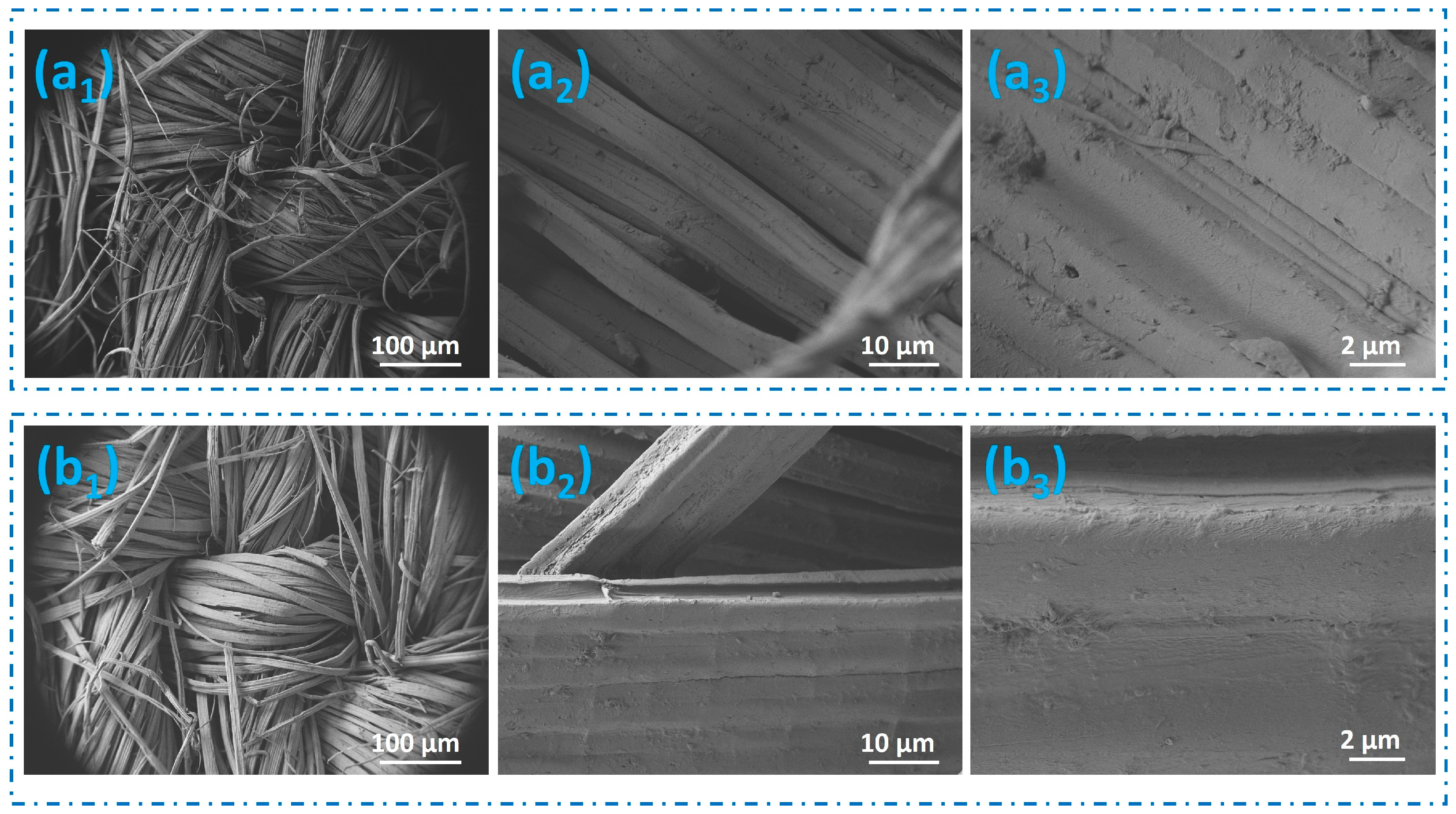 Polymers 16 02049 g002