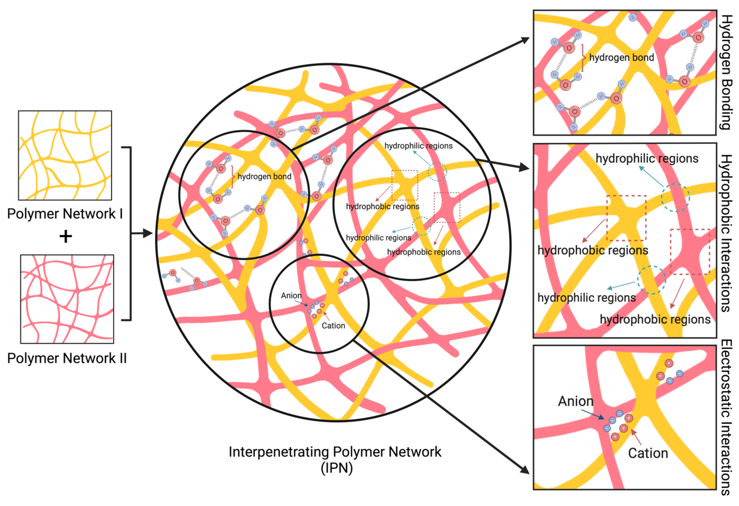 Polymers 16 02050 g002