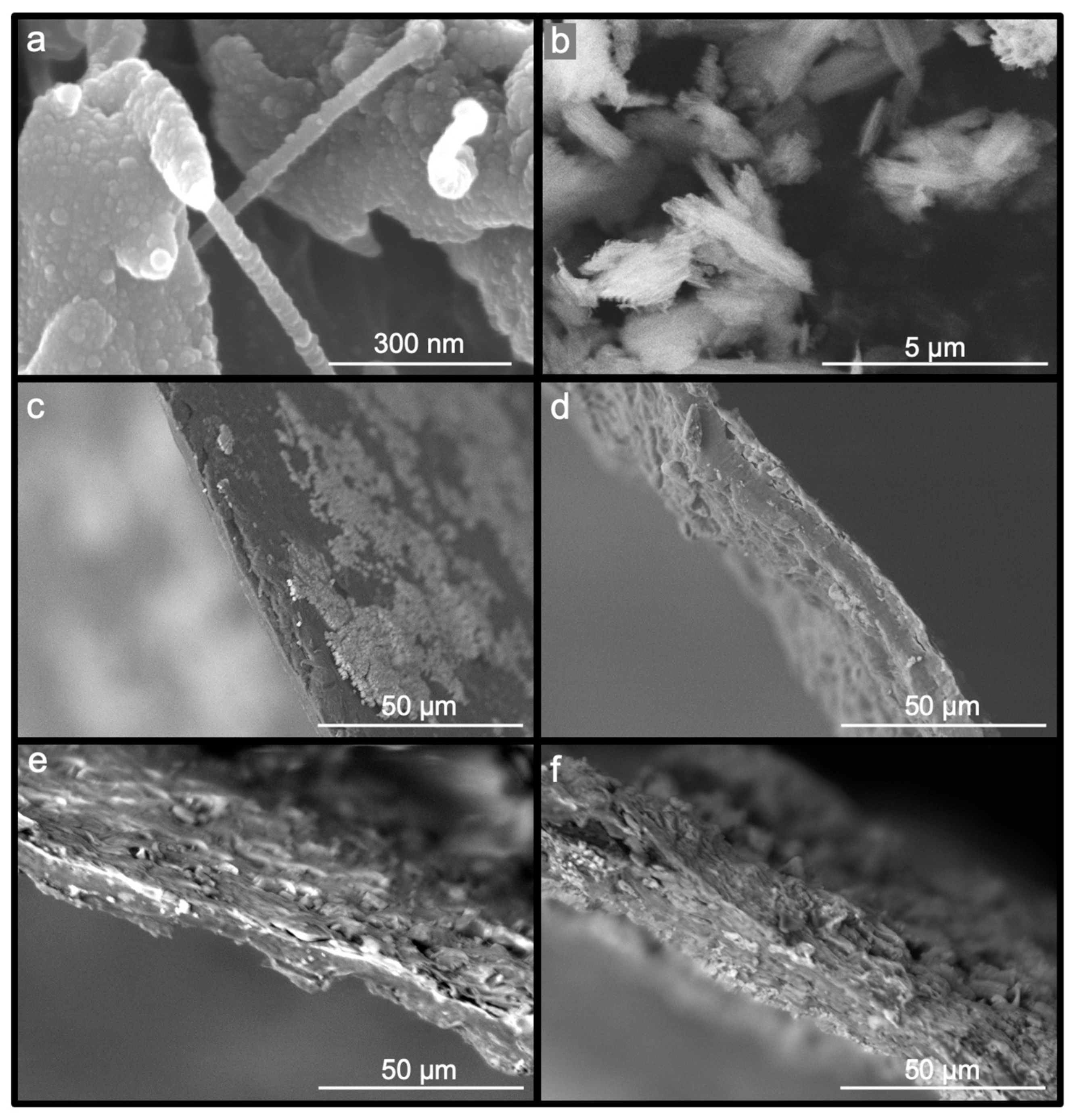 Polymers 16 02055 g002