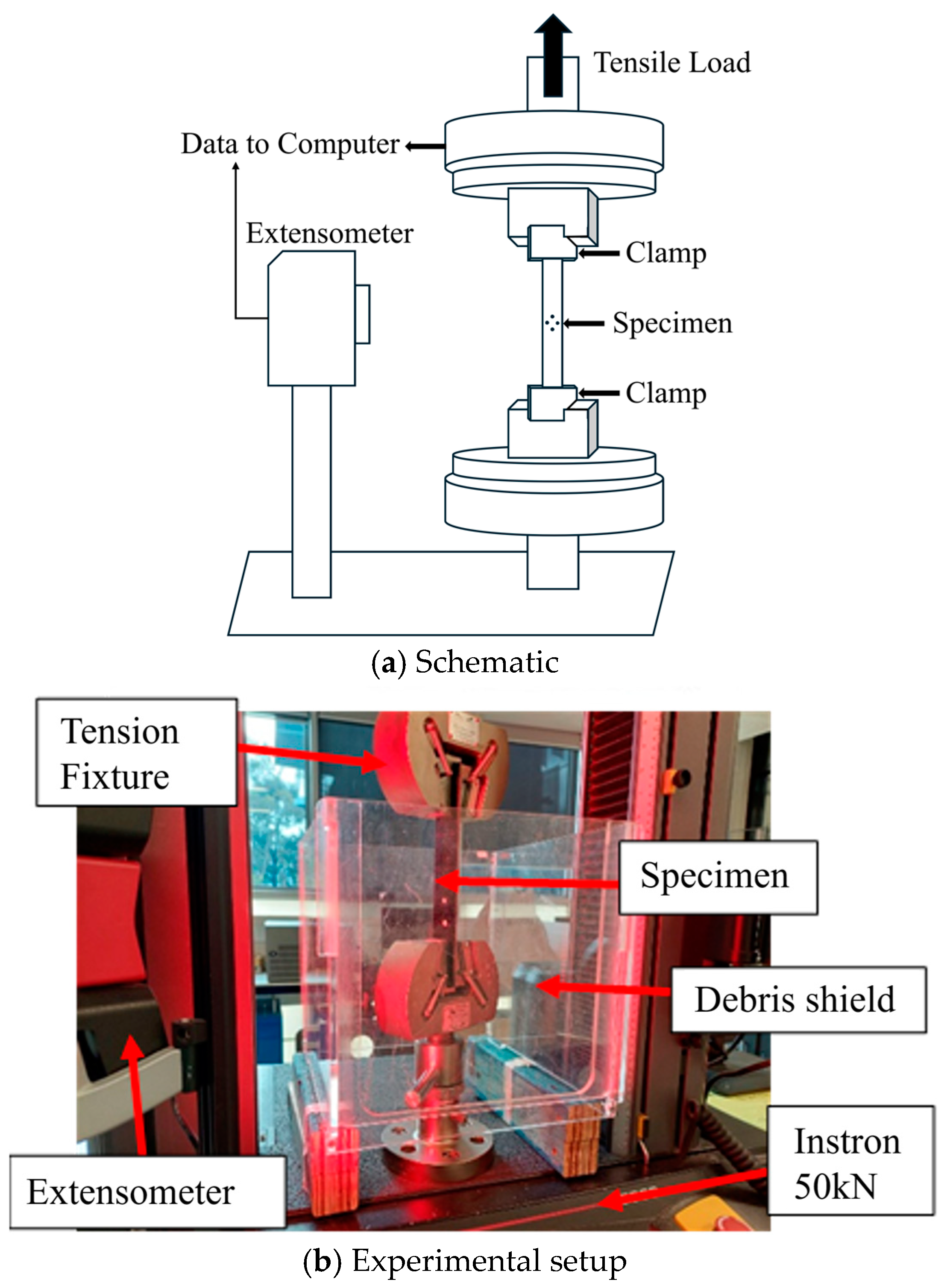 Polymers 16 02056 g002