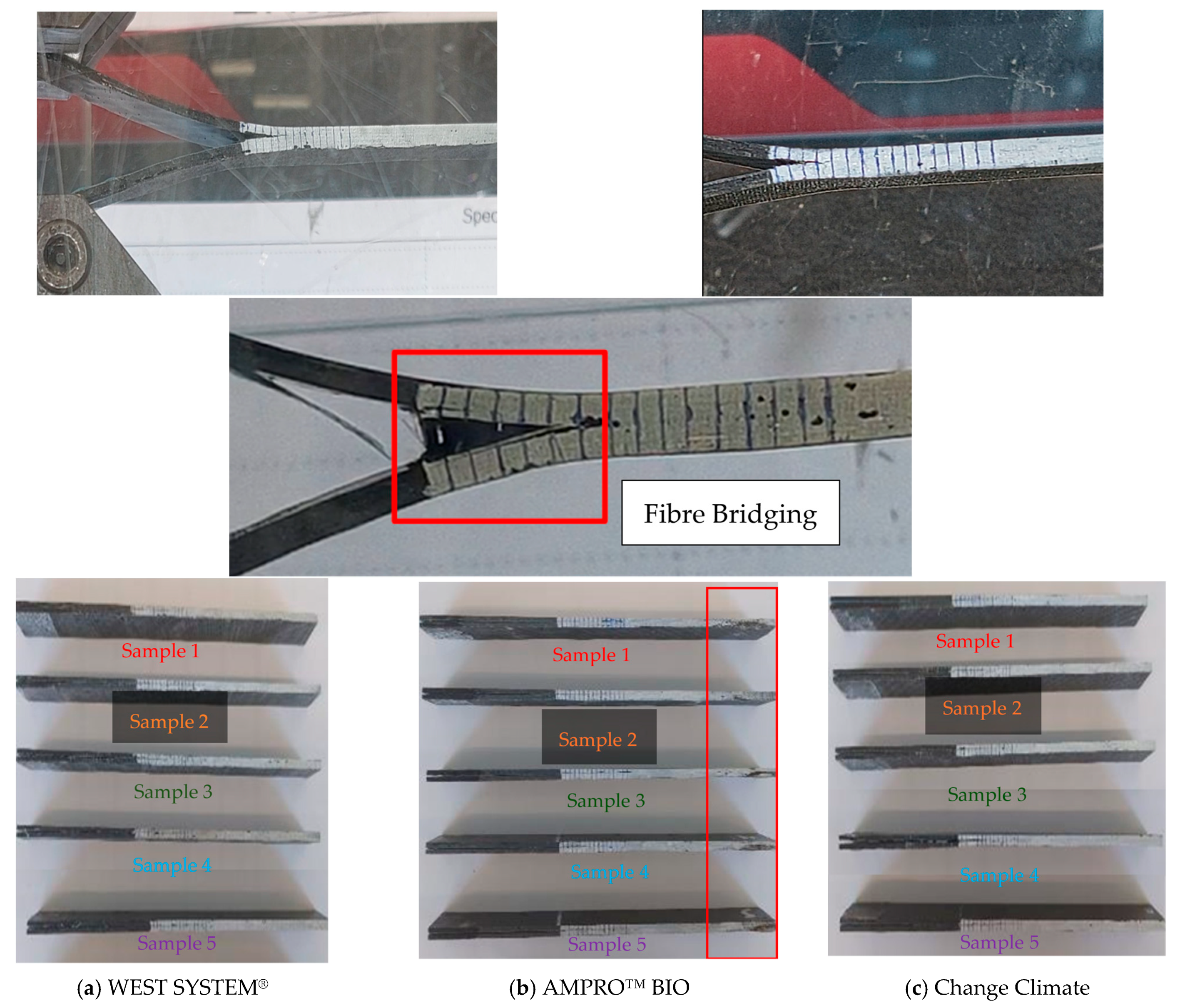 Polymers 16 02056 g011