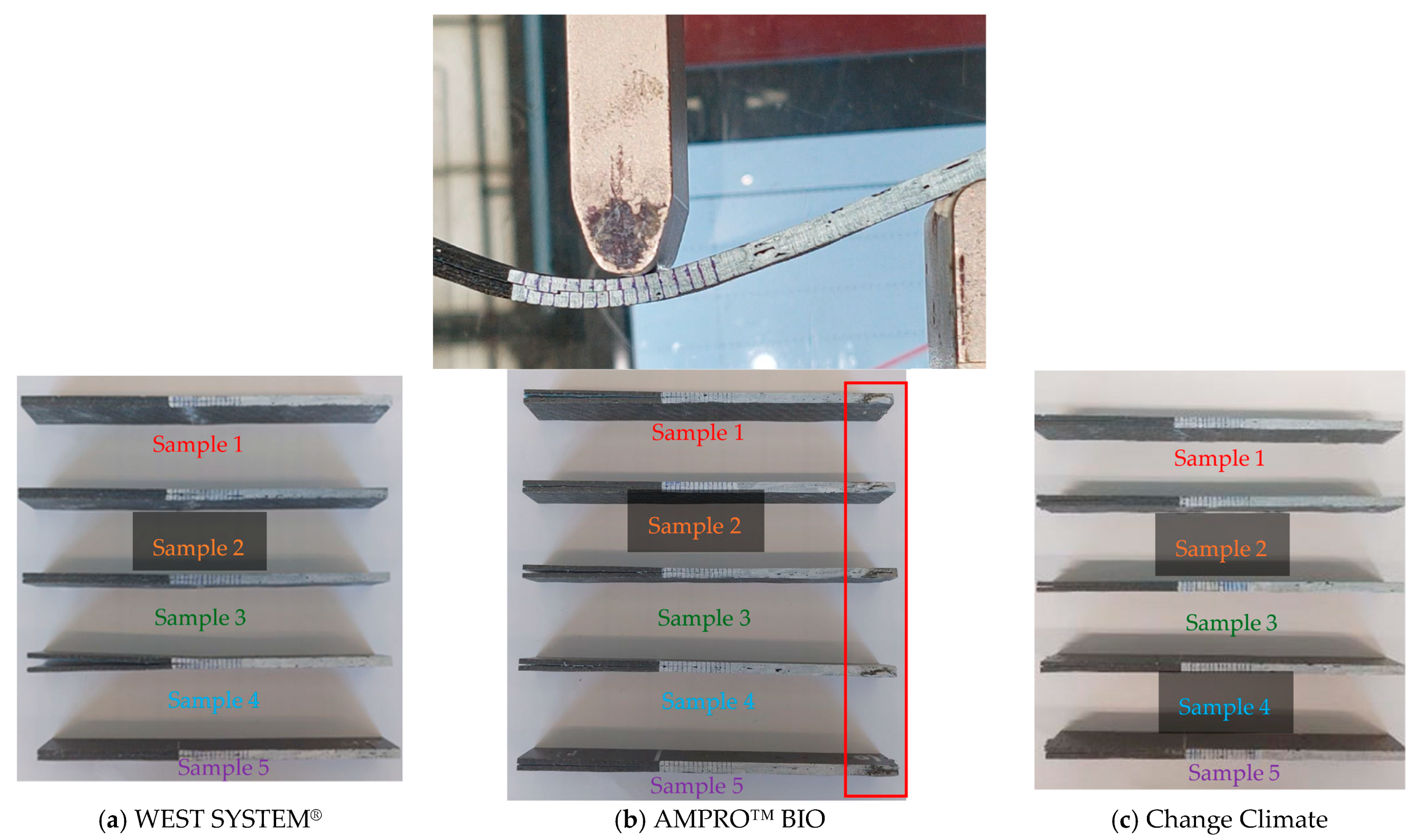 Polymers 16 02056 g014