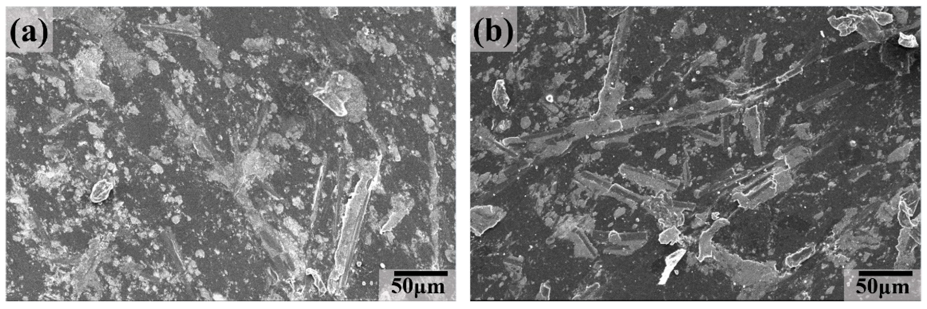 Polymers 16 02059 g011a